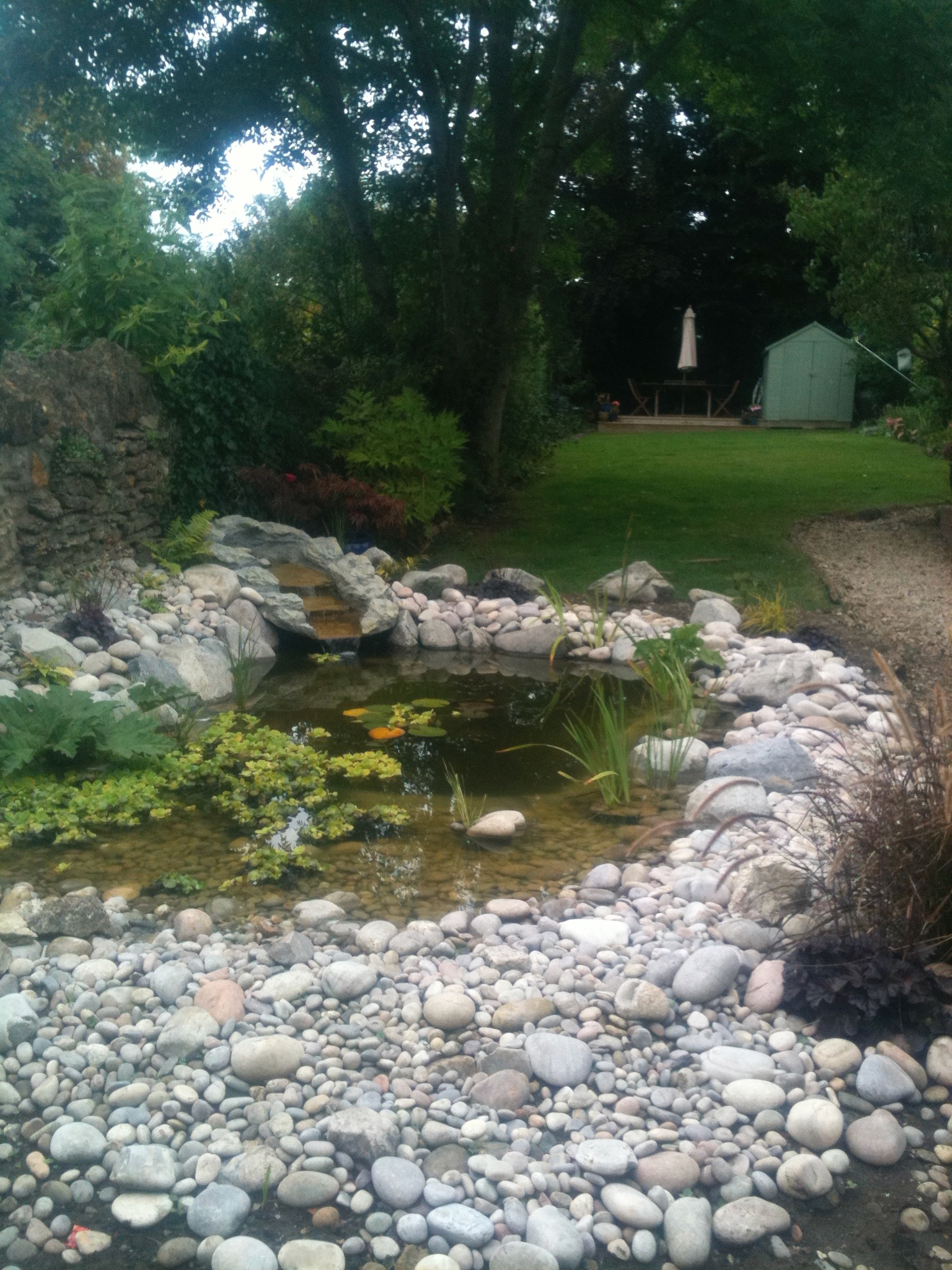 Straight after completion, this pond has a sloping beach to help wildlife use it as much as possible. The waterfall helps improve water quality by adding oxygen and preventing stagnation. The planting may look sparse now but our pictures from a year or so later show just what it develops into.