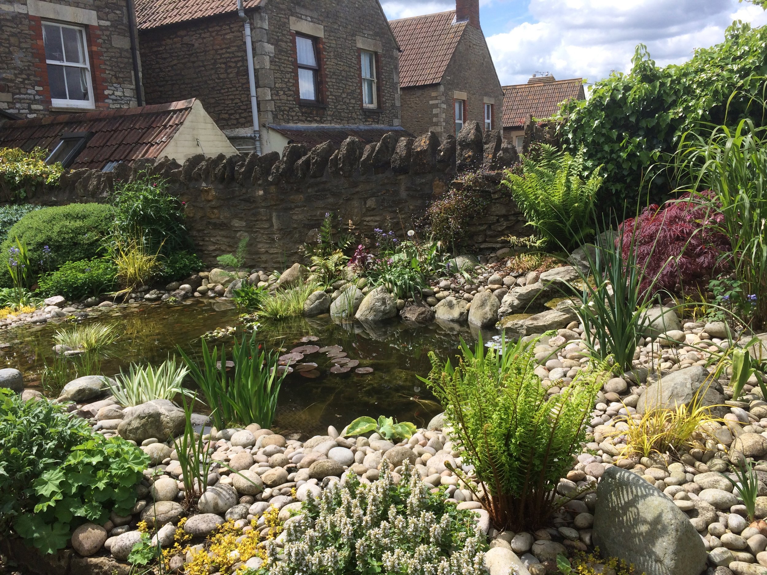The cobbles & pebbles soften under the planting and the mix of plant types offer a variety of habitats for a huge array of wildlife.