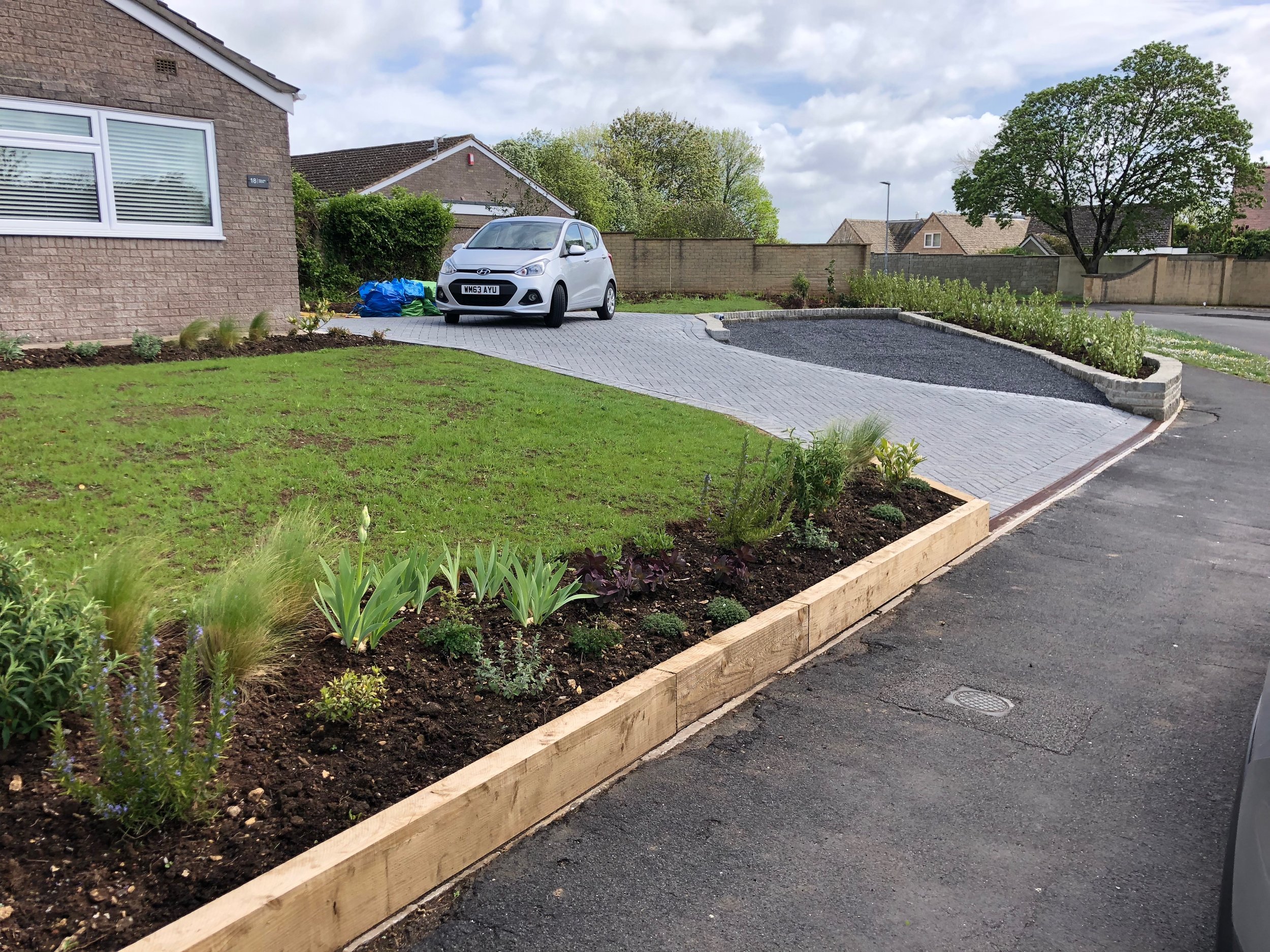 On the opposite side of the garden, sleeper retainers are again an inexpensive solution and help the planting & newly seeded lawn act as a soft foil against the hard landscaping. The griselinia hedge in the raised border will quickly thicken up to provide privacy from the road.