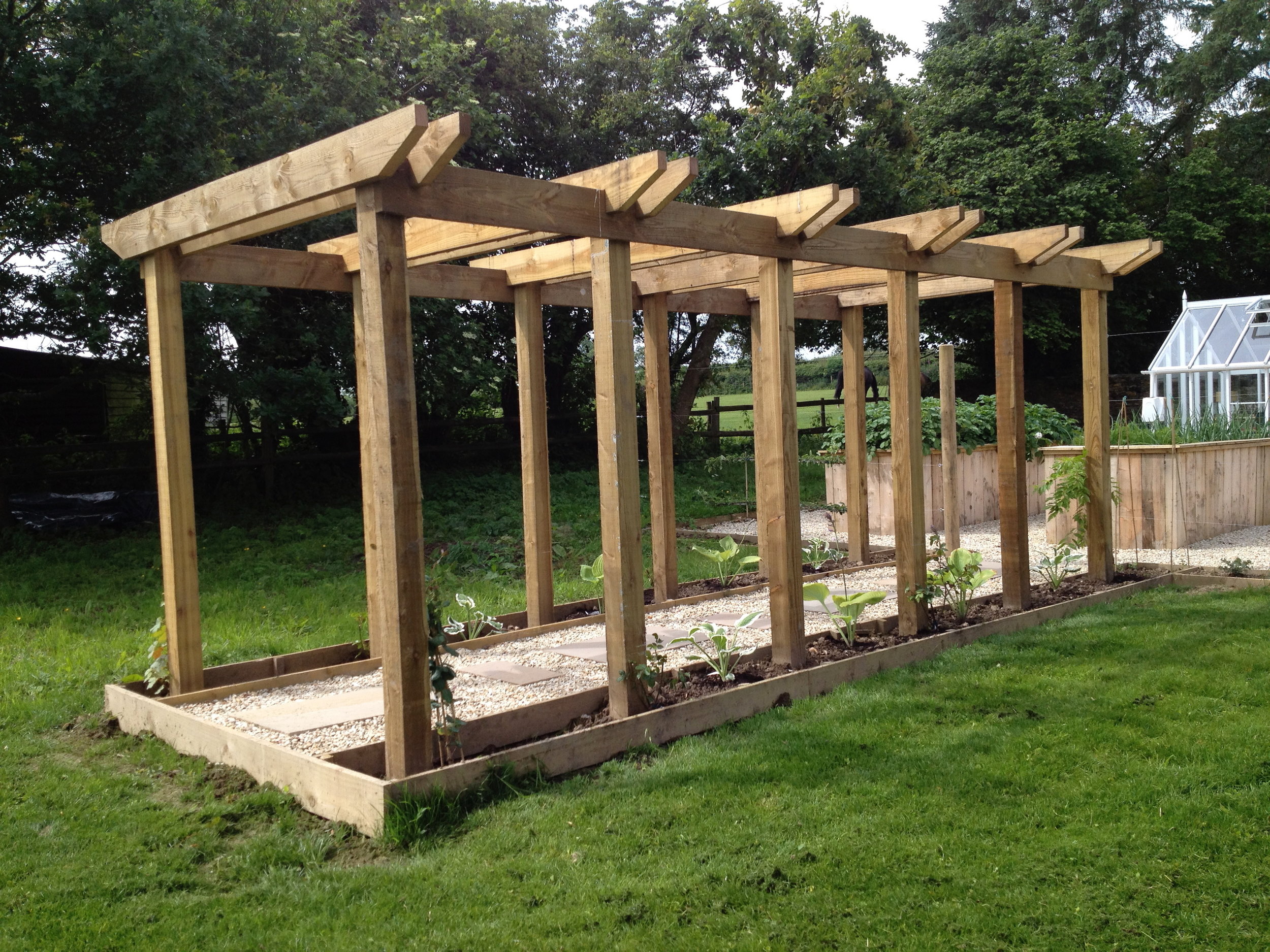 The newly planted pergola with the raised beds full of home grown produce.