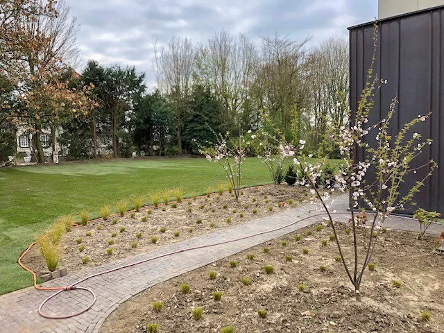 Tuin Hasselt7.jpg