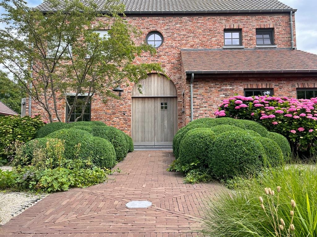 WhatsApp Image 2022-07-06 at 10.04.37 PM-2.jpeg