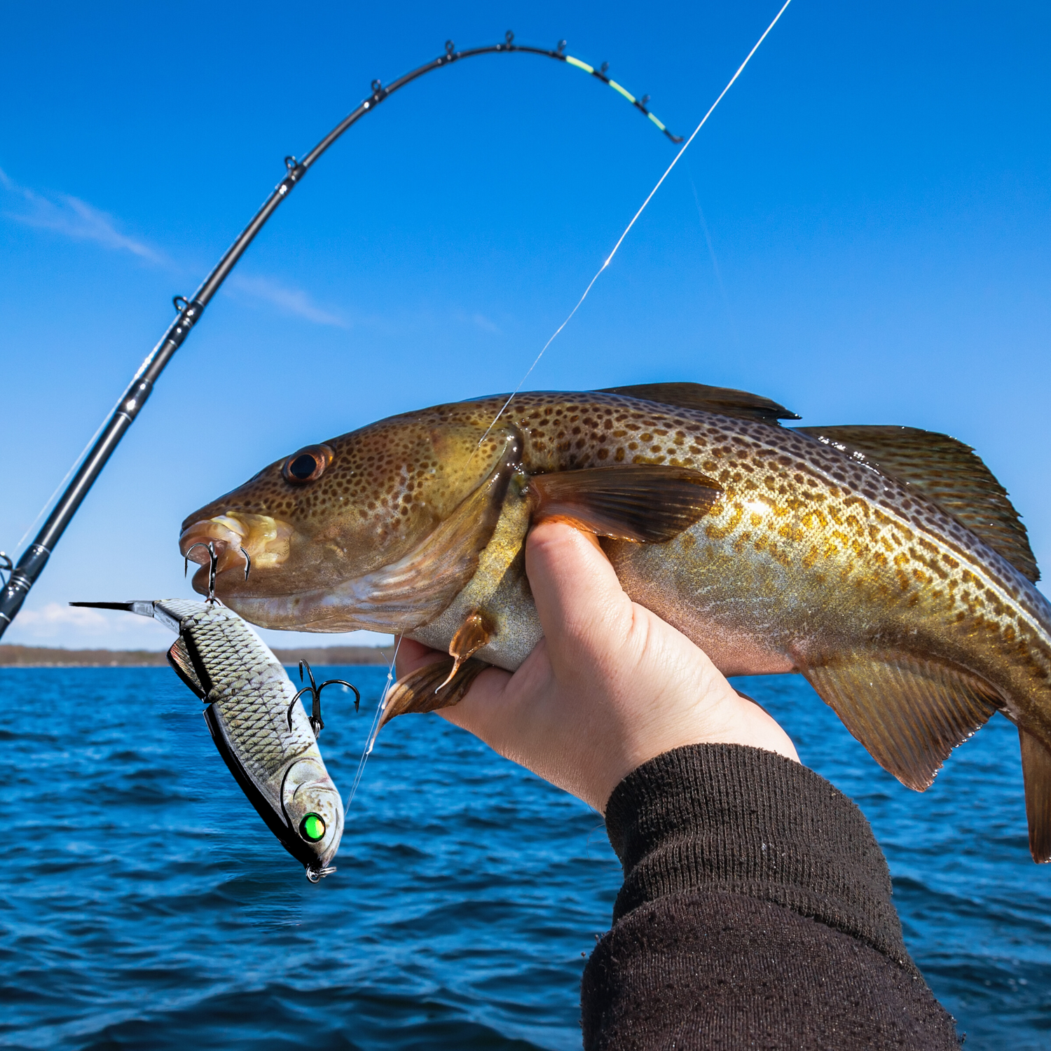 cod fishing pole Black Hole USA Cape Tai Special Rods, Black Hole USA, Black Hole Cod Fishing Combos – Otto'S