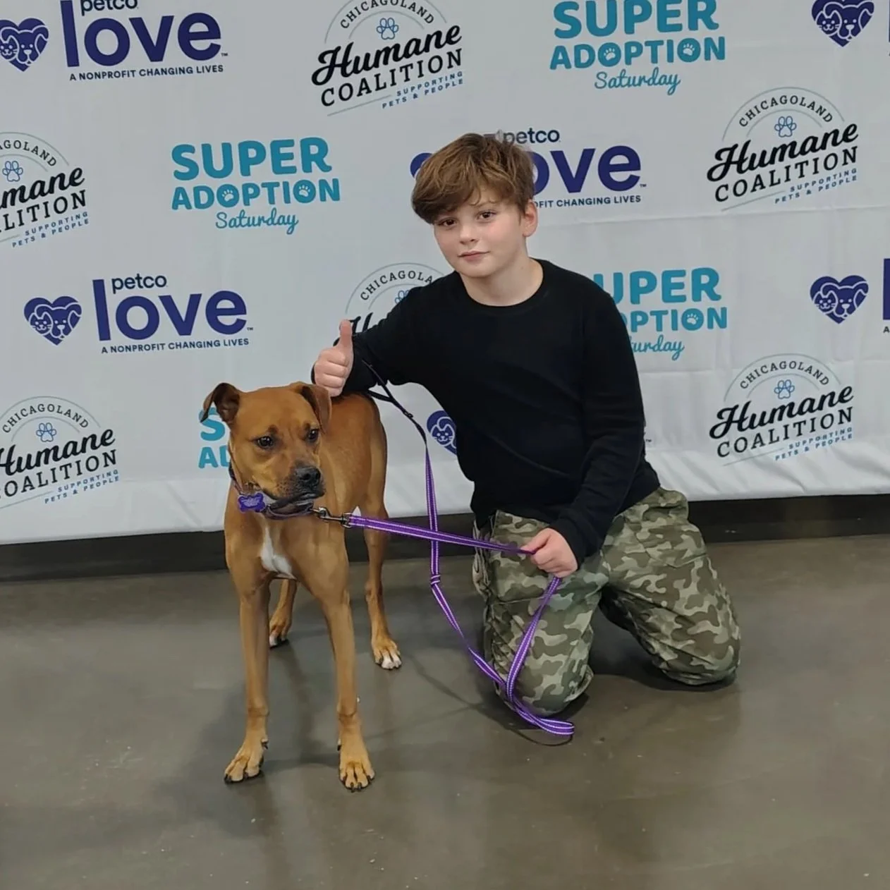 Super Adoption Saturday Recap: 6 Happy Tails!