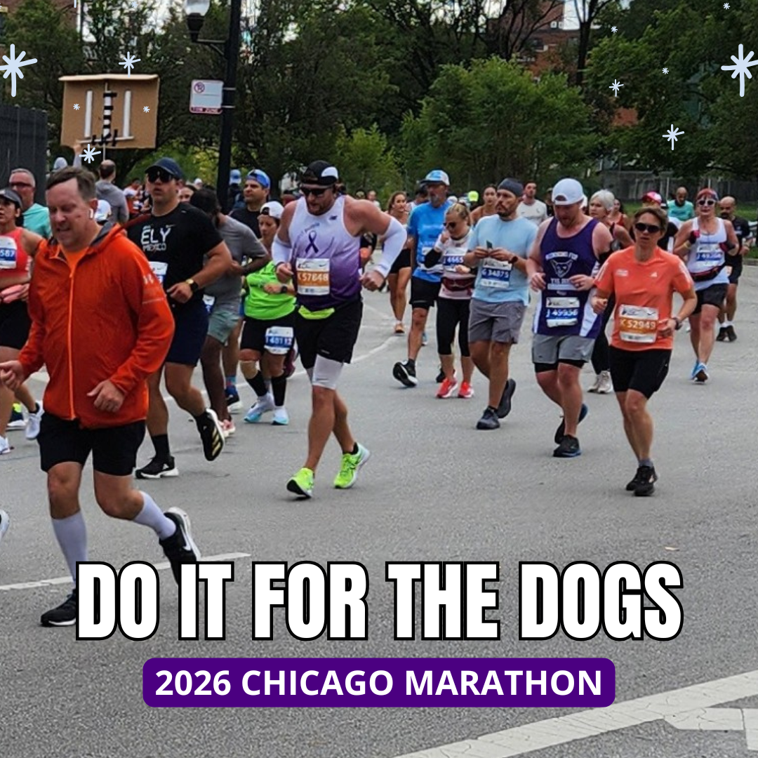 2026 Chicago Marathon