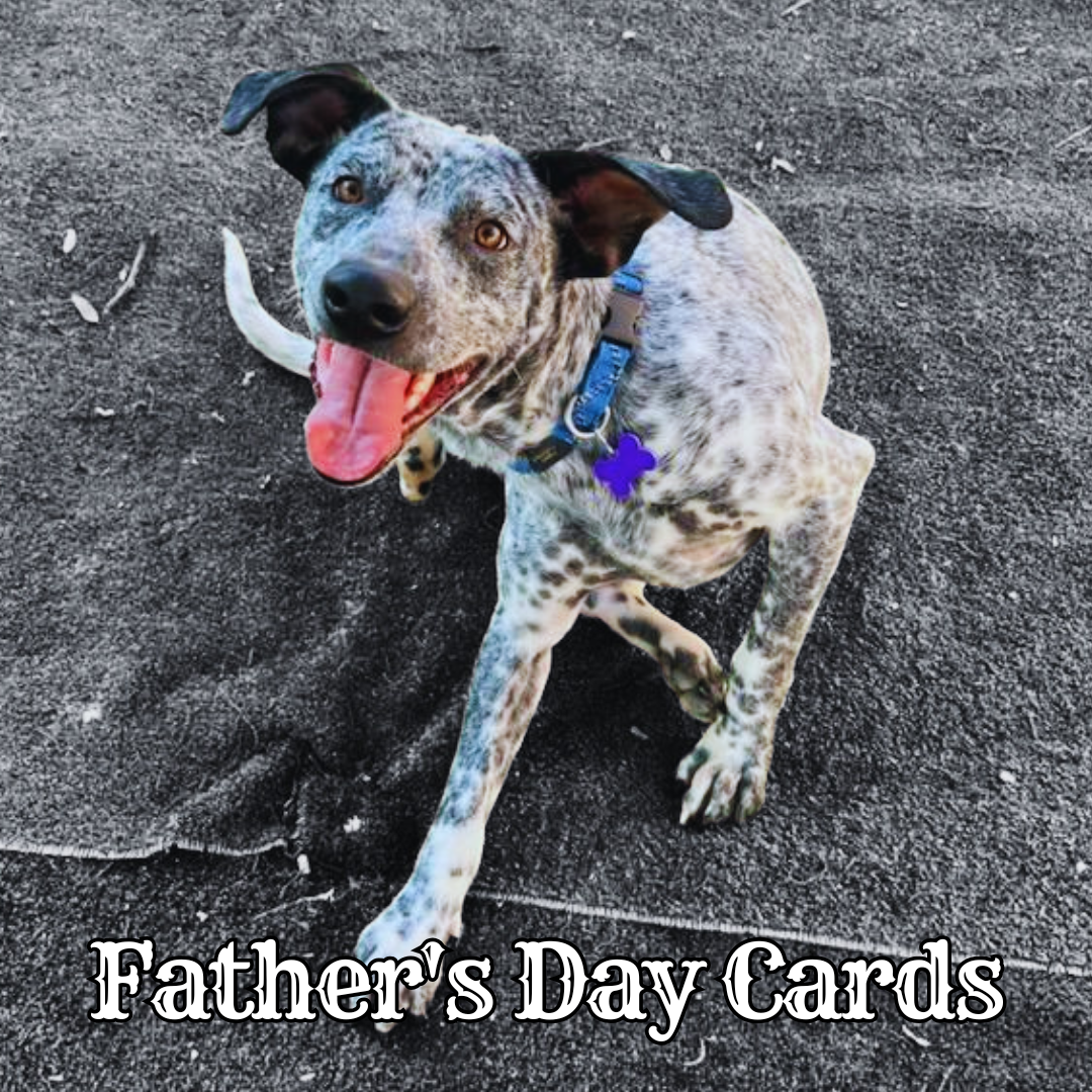 Father's Day cards 🩵