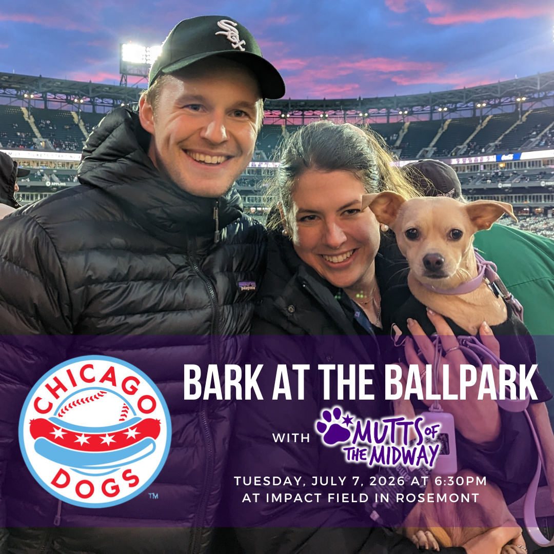 Chicago Dogs Dog Day ⚾