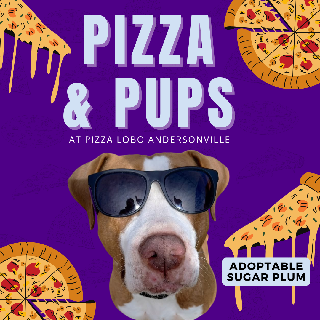 Pizza &amp; Pups 🍕