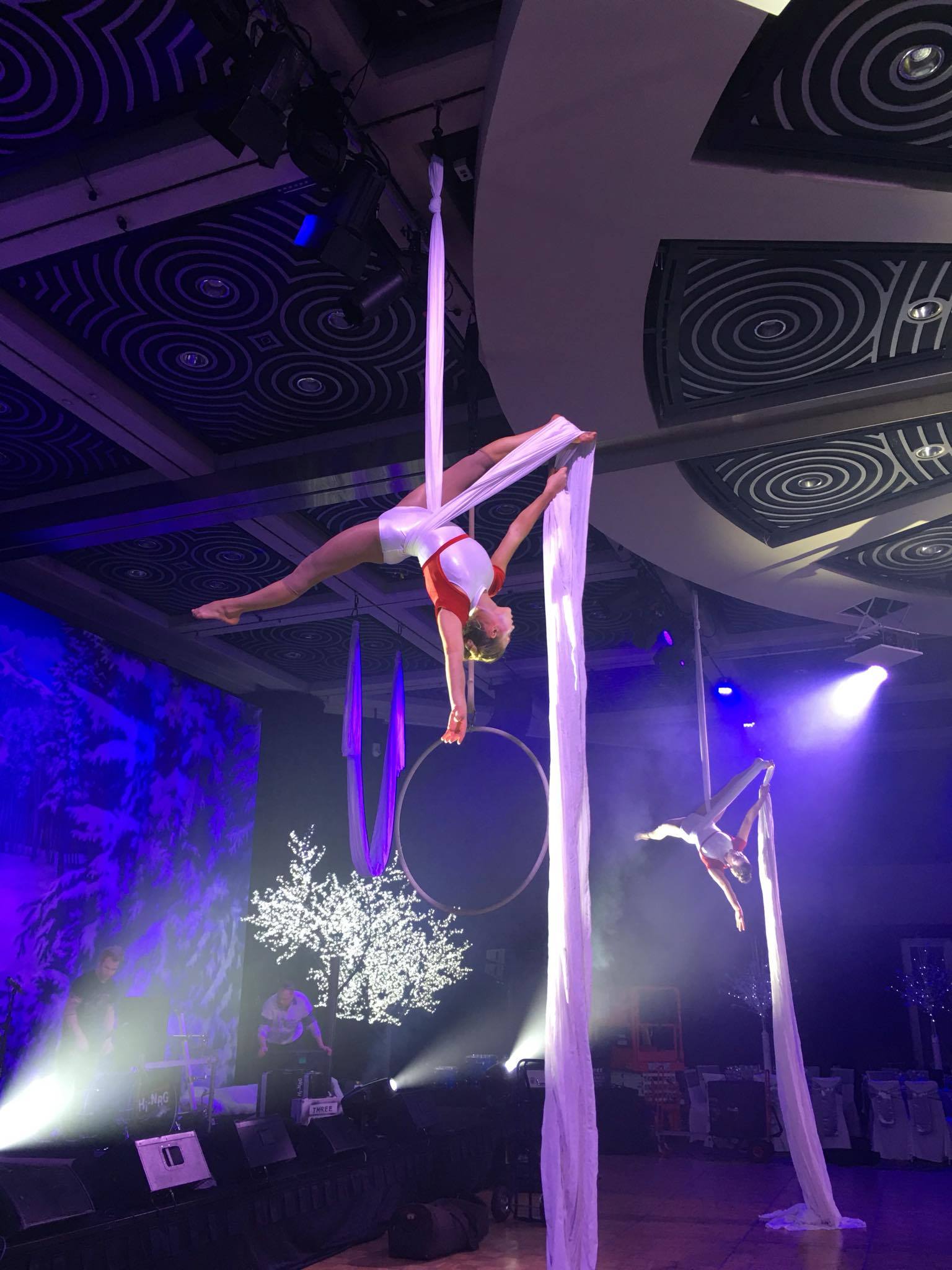 'Winter Wonderland' Aerial Silks