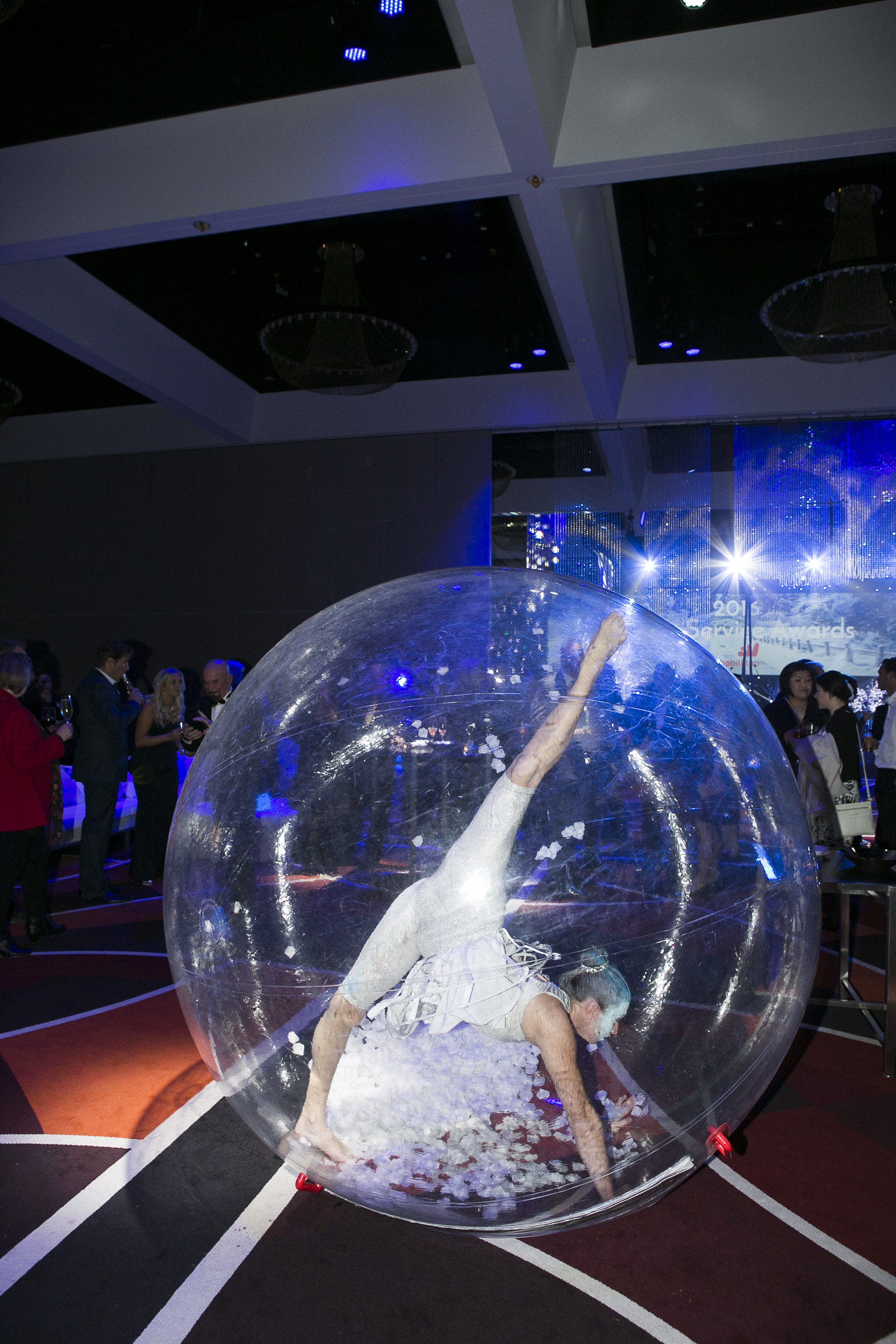 'Winter Wonderland' Snow-globe Roving