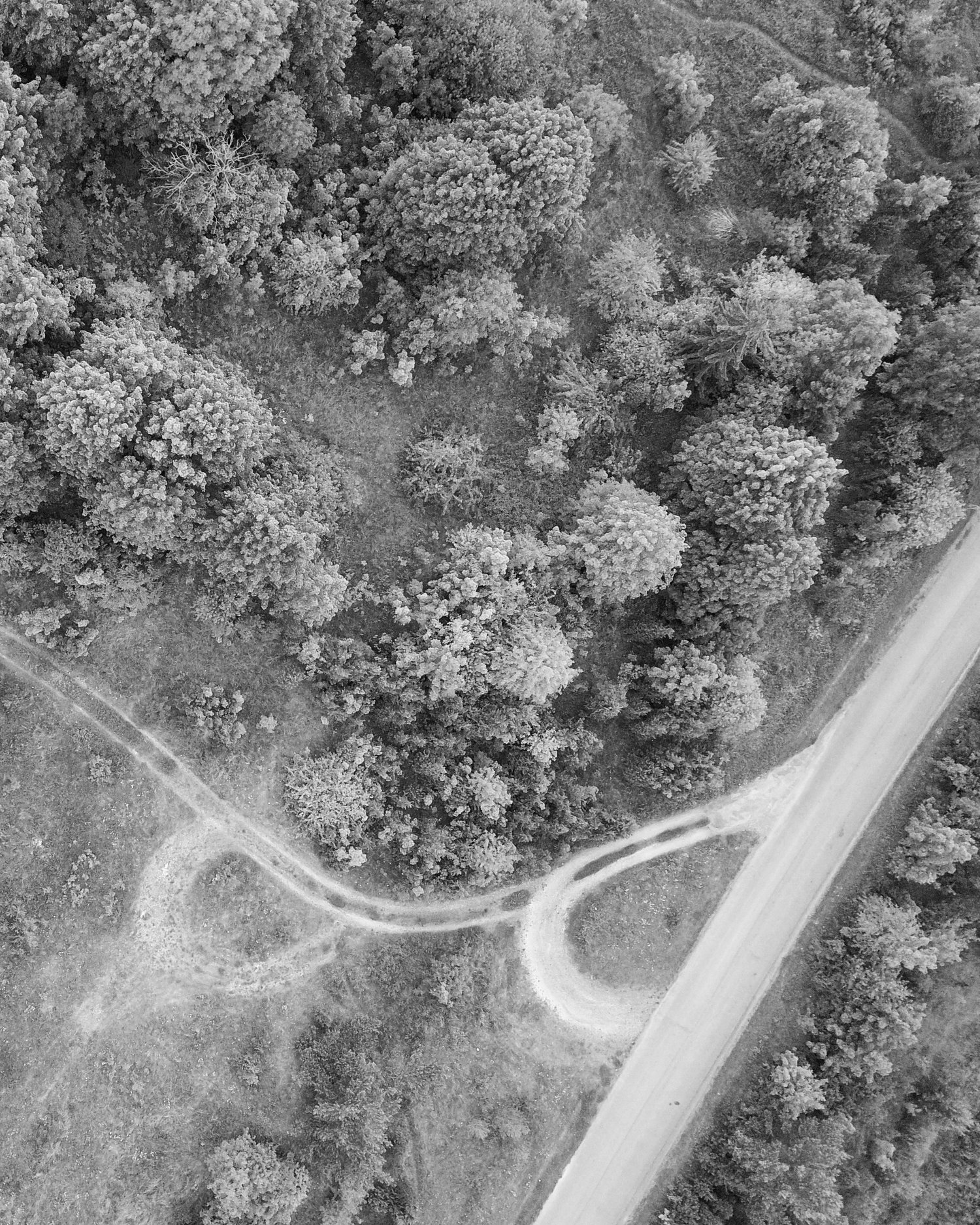 art in dialogue with architecture and landscape