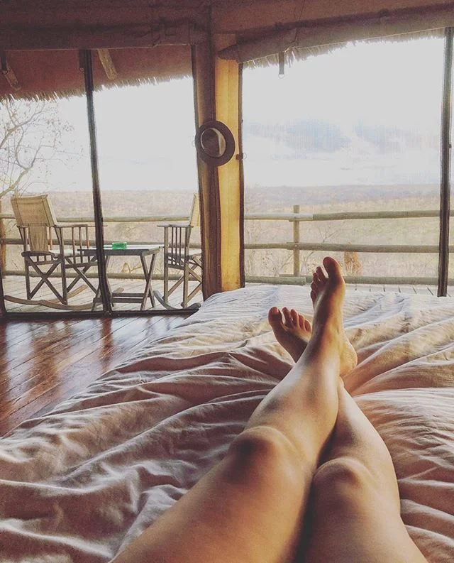 Hang your hat here, and kick back while you watch African Wildlife and killer views right from your bed 😲 &mdash;&mdash;&mdash;&mdash;&mdash;&mdash;&mdash;&mdash;&mdash;&mdash;&mdash;&mdash;&mdash;&mdash;&mdash;&mdash;&mdash;&mdash;&mdash;&mdash;
🎁