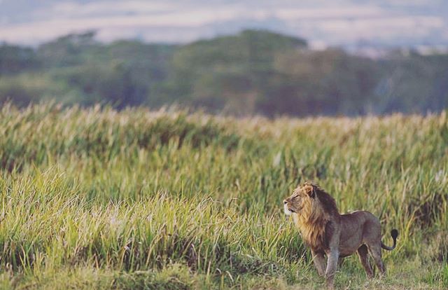 What gets you up in the morning? What motivates you? And what keeps you going?!
For us, it&rsquo;s watching wildlife, It never gets old, and we mean never! &mdash;&mdash;&mdash;&mdash;&mdash;&mdash;&mdash;&mdash;&mdash;&mdash;&mdash;&mdash;&mdash;&md
