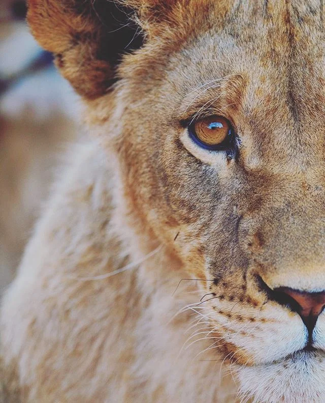 We like nature. Like a lot. We&rsquo;re lucky enough to experience it every day. And guess what, we want you to also! So what do you say? Time for an adventure? Always! &mdash;&mdash;&mdash;&mdash;&mdash;&mdash;&mdash;&mdash;&mdash;&mdash;&mdash;&mda