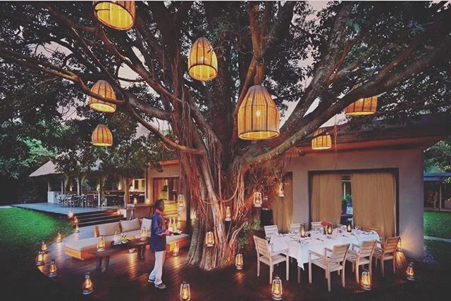 I think we&rsquo;re ready for dinner, who wants to join us?
&mdash;&mdash;&mdash;&mdash;&mdash;&mdash;&mdash;&mdash;&mdash;&mdash;&mdash;&mdash;&mdash;&mdash;&mdash;&mdash;&mdash;&mdash;&mdash;&mdash;
🎁Want a FREE Safari?! To enter follow us &amp; T