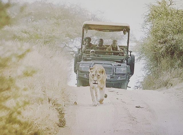 Follow the Leader &mdash;&mdash;&mdash;&mdash;&mdash;&mdash;&mdash;&mdash;&mdash;&mdash;&mdash;&mdash;&mdash;&mdash;&mdash;&mdash;&mdash;&mdash;&mdash;&mdash;
🎁Want a FREE Safari?! To enter follow us &amp; Tag 5 of your friends! Then just click the 