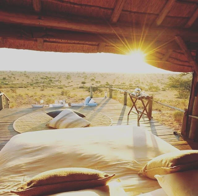 Good morning Instagram! Who else wants to wake up here?! &mdash;&mdash;&mdash;&mdash;&mdash;&mdash;&mdash;&mdash;&mdash;&mdash;&mdash;&mdash;&mdash;&mdash;&mdash;&mdash;&mdash;&mdash;&mdash;&mdash;
🎁Want a FREE Safari?! To enter follow us &amp; Tag 
