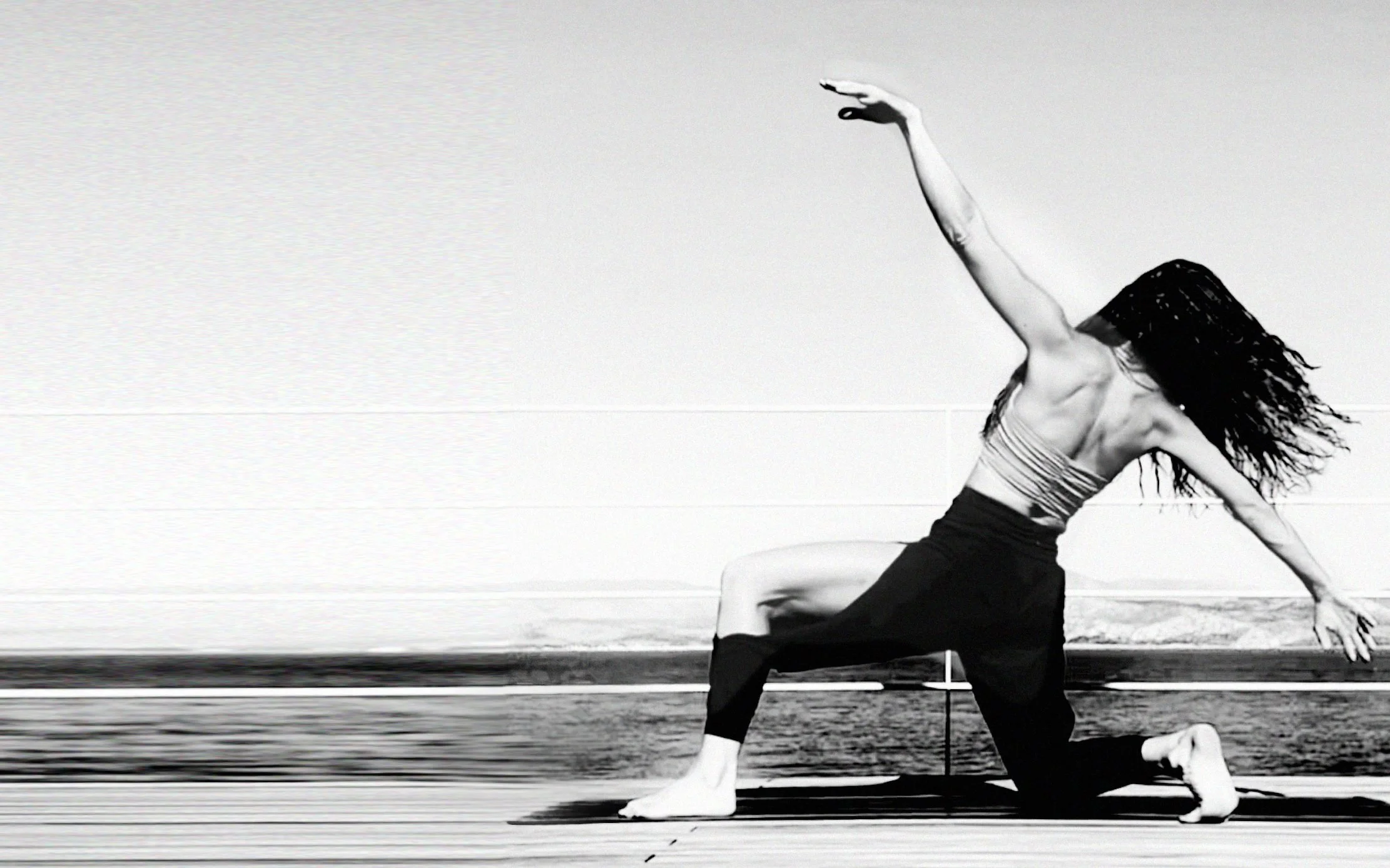wildlotus_web_header2.jpg