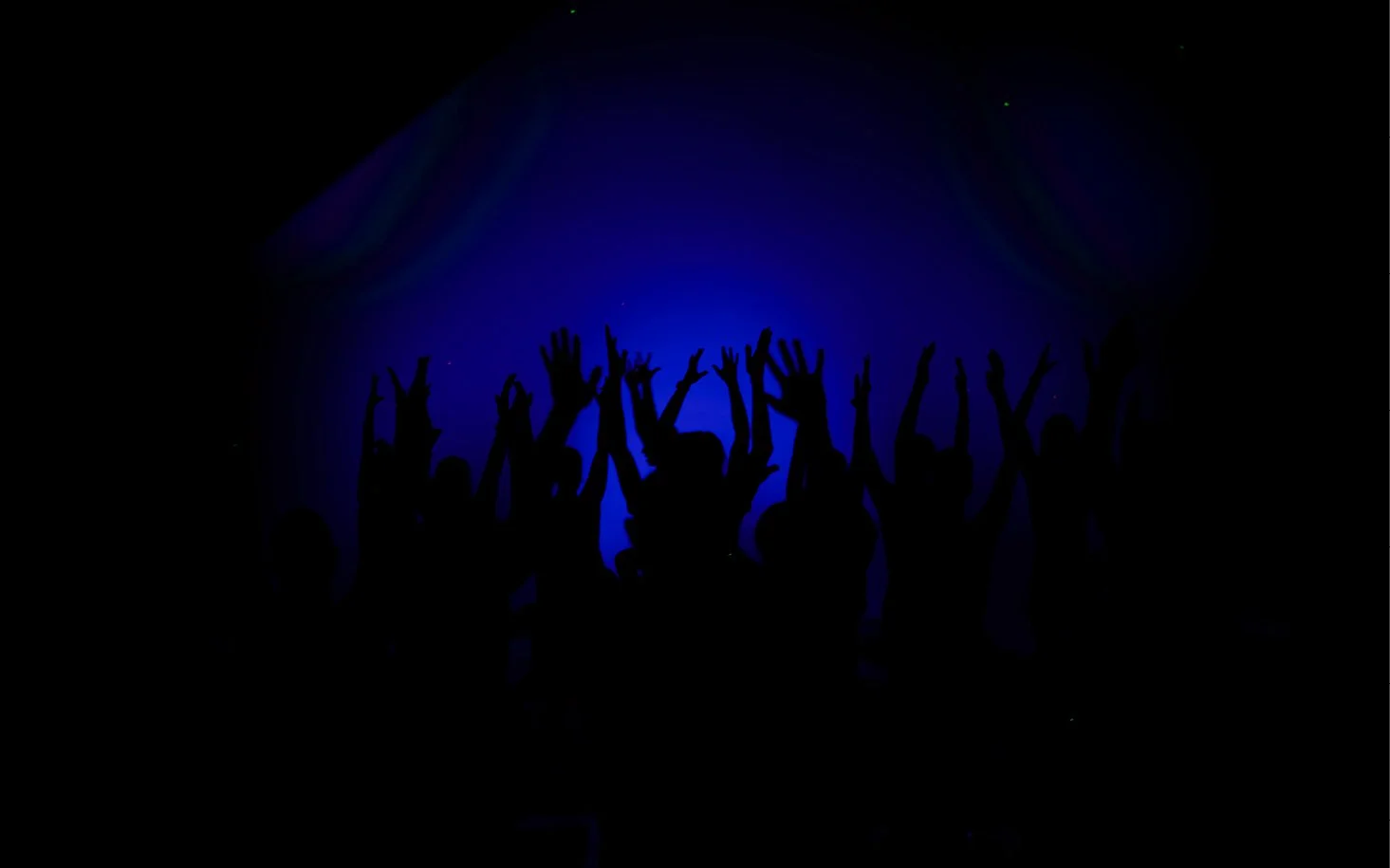 wildheart_web_blau.jpg