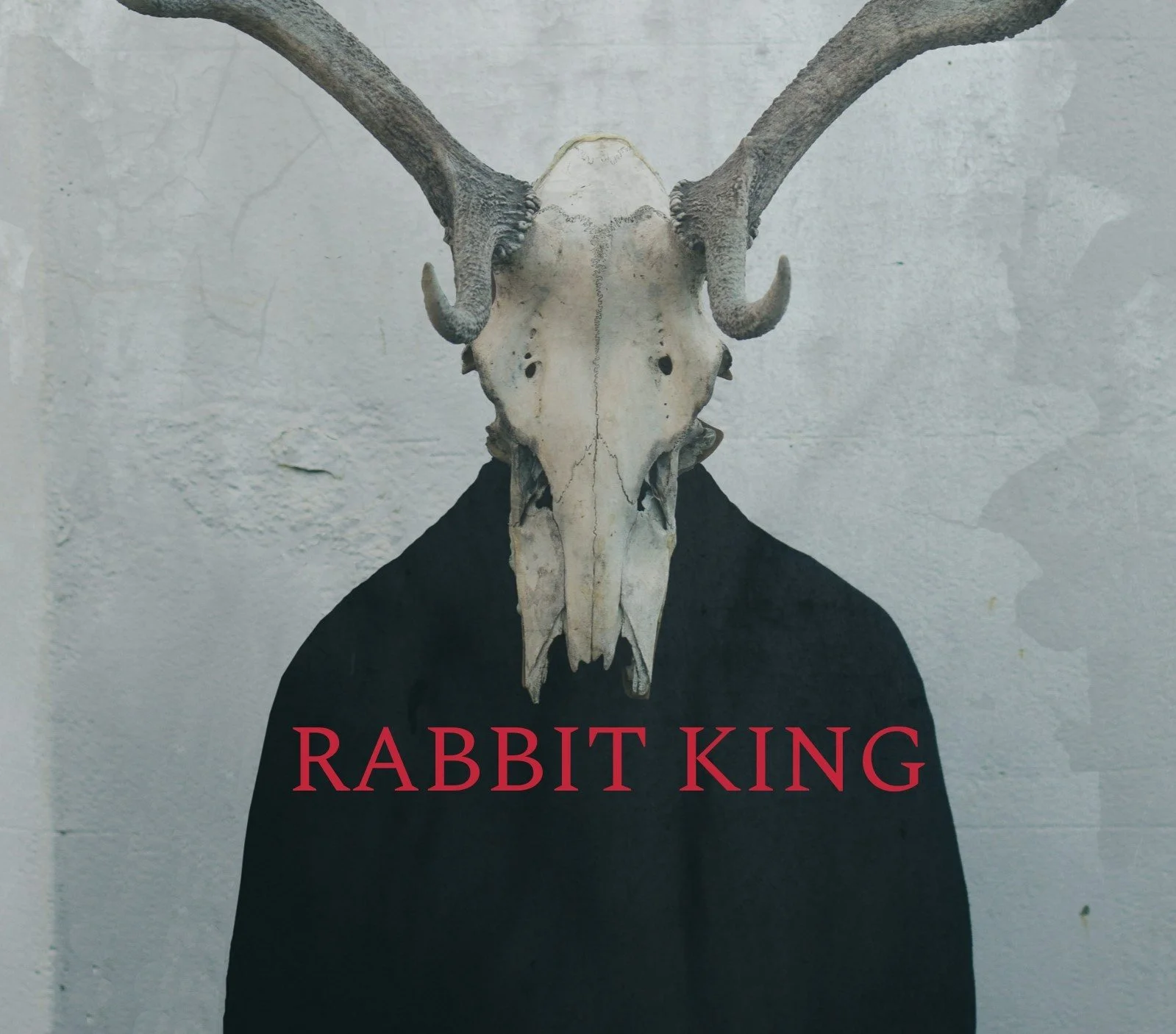 Rabbit King Web EDIT JPG.jpg