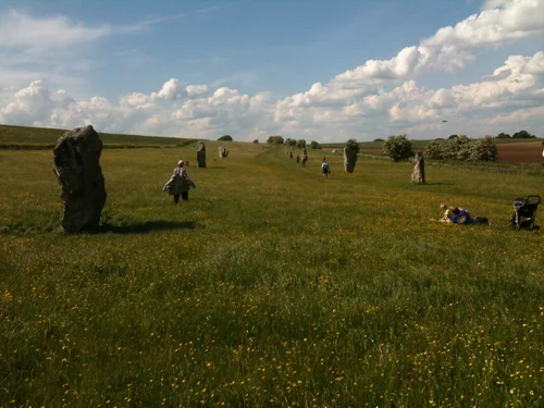 Avebury stones.jpeg