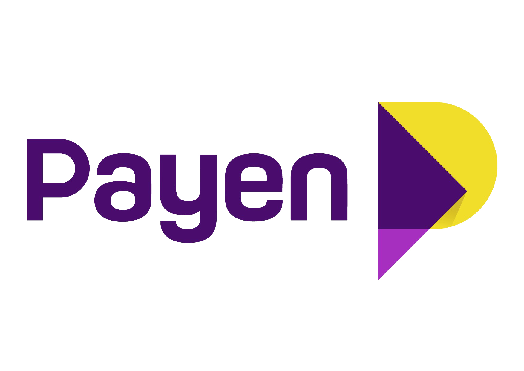 2019-05-15 Payen Logo (Large)_White_Background.jpg