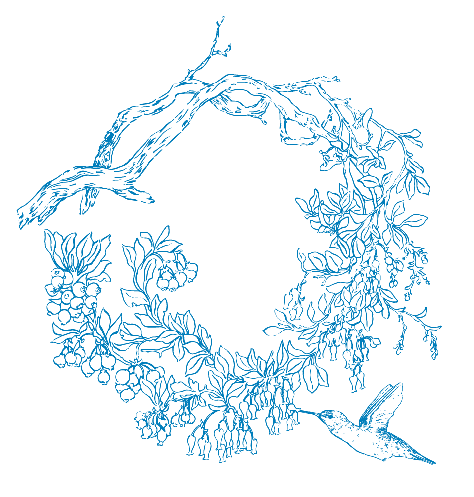 Justina-Freel-Wreath-Icon-01.png
