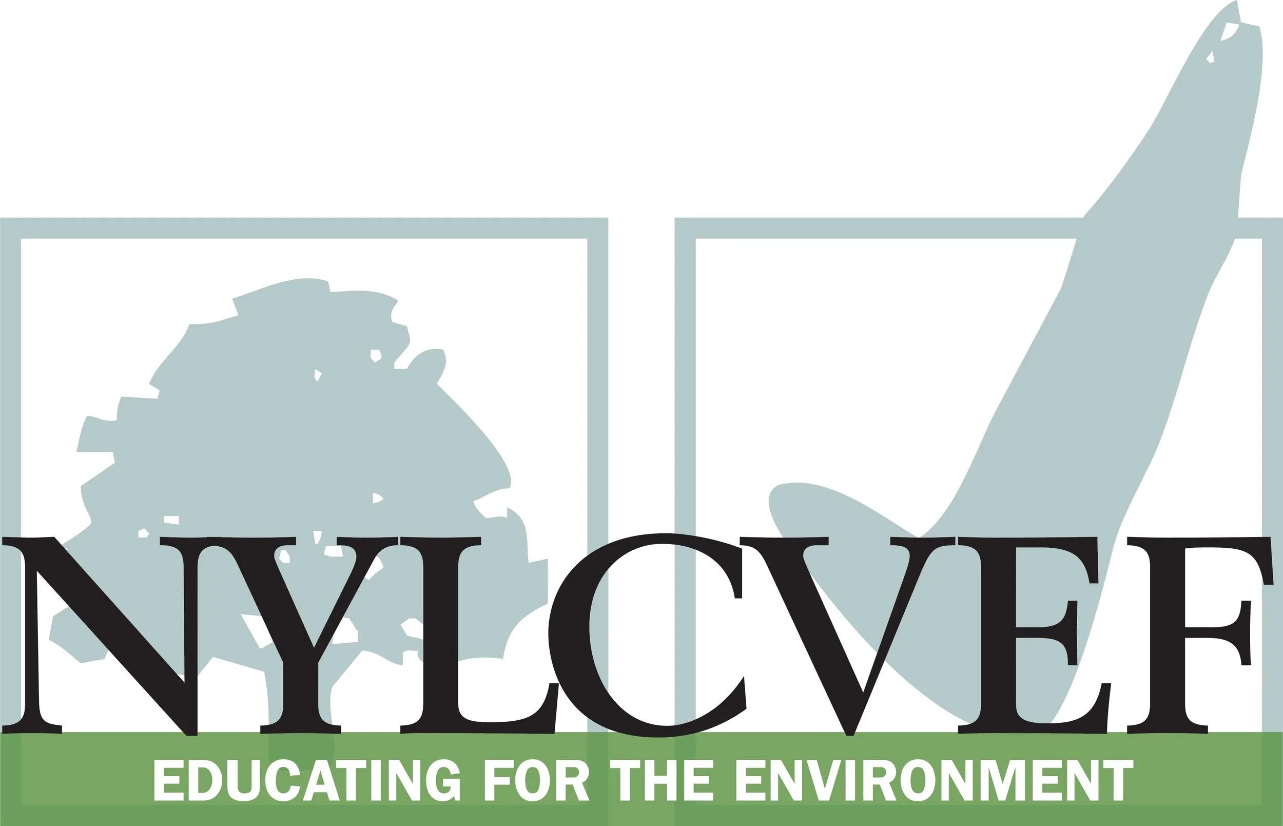 NYLCVEF logo.jpg