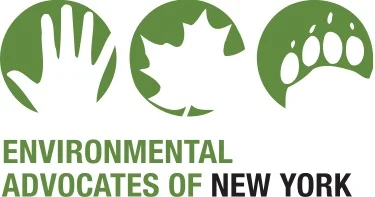 EANY logo green with black new york[3].jpg