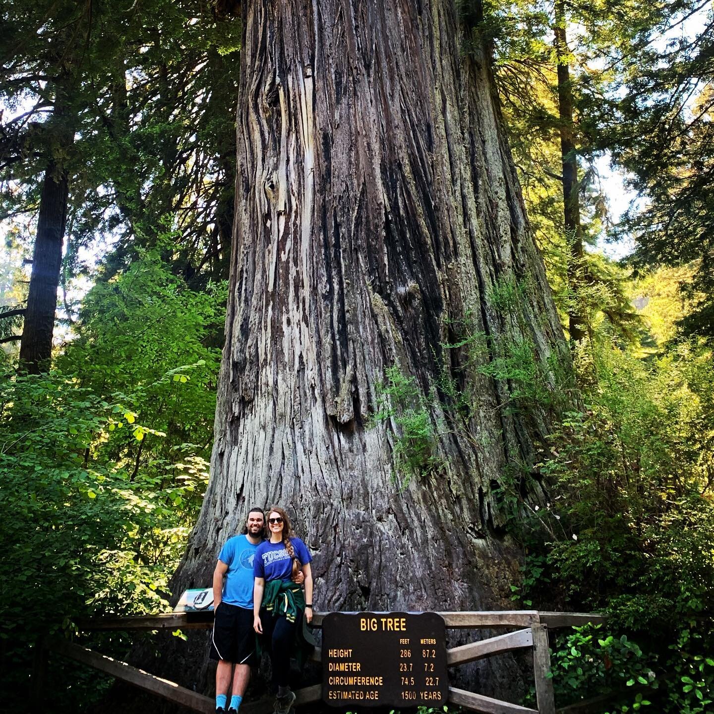 Big people next to a big tree with some big dreams - too much fun!