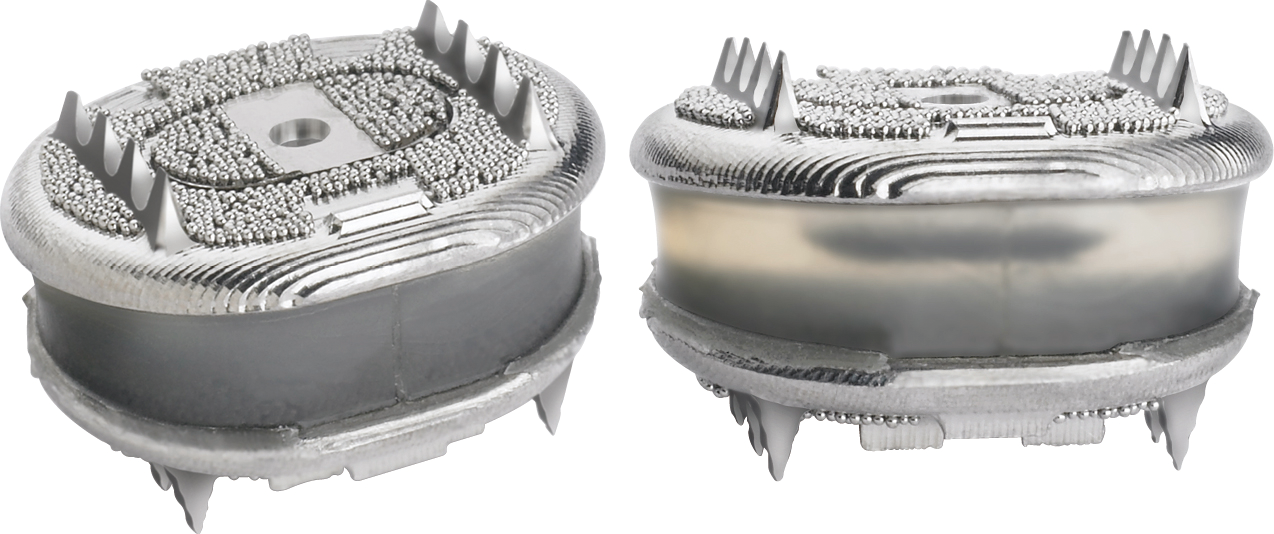 The AxioMed Freedom Cervical Disc