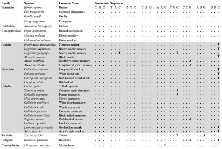 LI_Social_Blog_MolecularVariationAVP-768x515.jpg