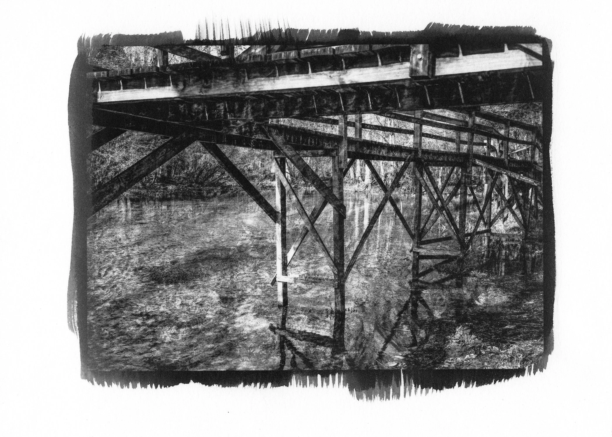  Platinum Palladium Print, 2021. Gilchrest Co. FL. 