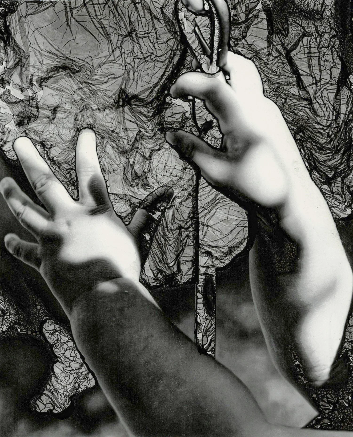  Mordançaged Gelatin Silver Print, 2023. 