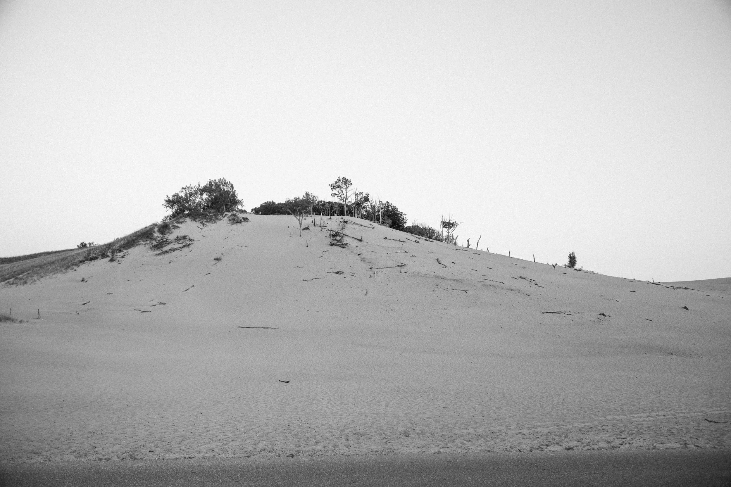   Warren Dunes State Park. Michigan, 2024.  