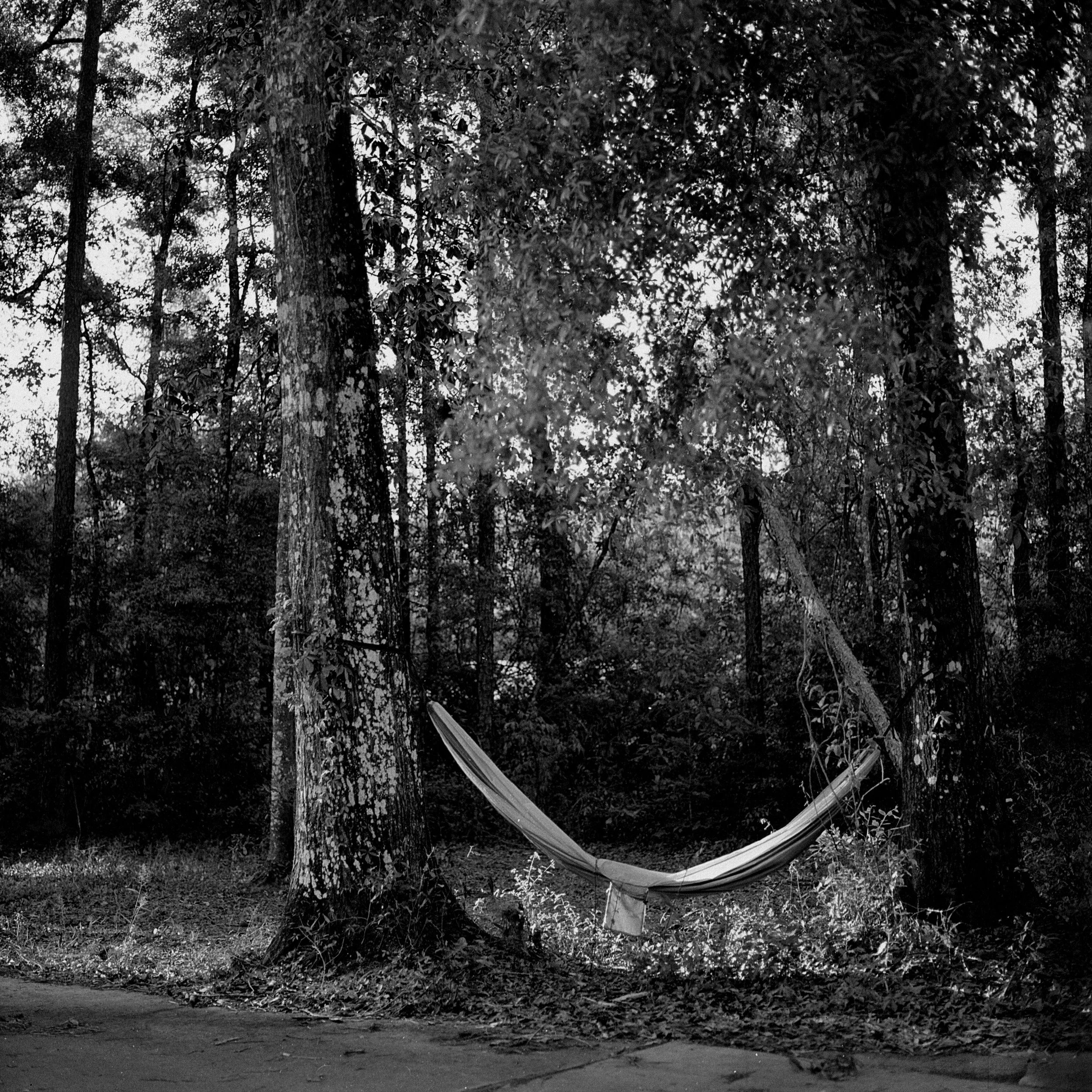 Untitled (2).JPG