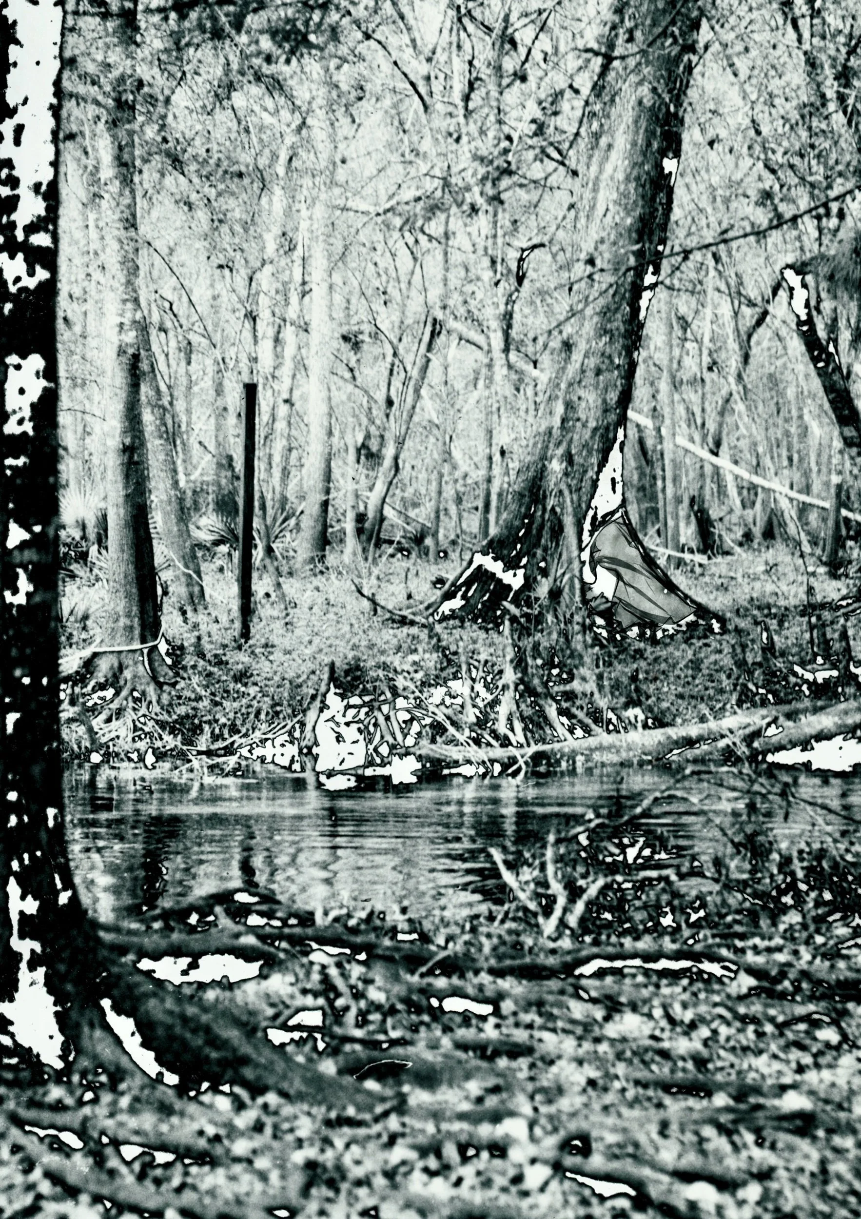  Mordançaged Gelatin Silver Print, 2025.&nbsp;O’Brien FL.&nbsp; 