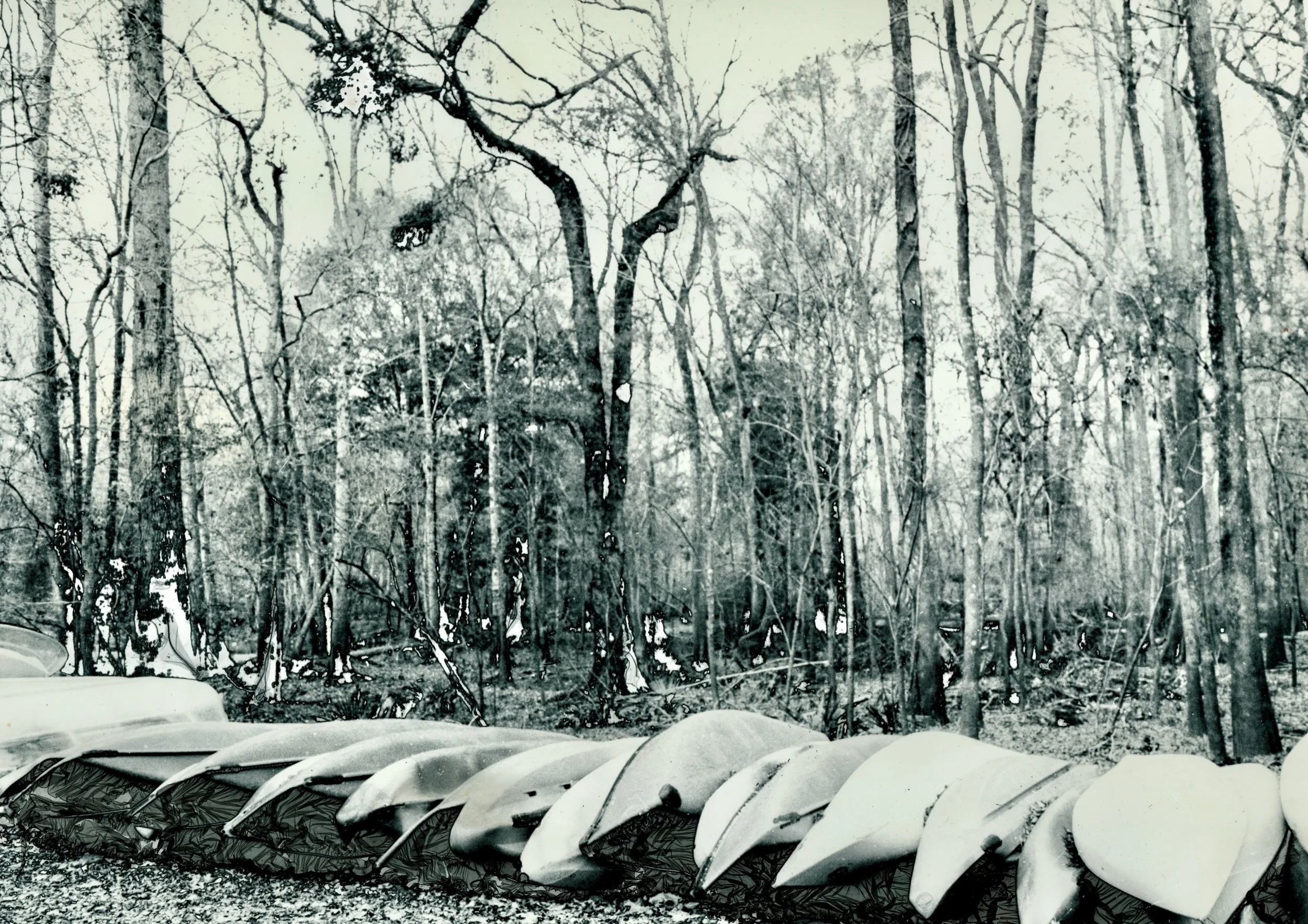  Mordançaged Gelatin Silver Print, 2025. O’Brien FL.&nbsp; 