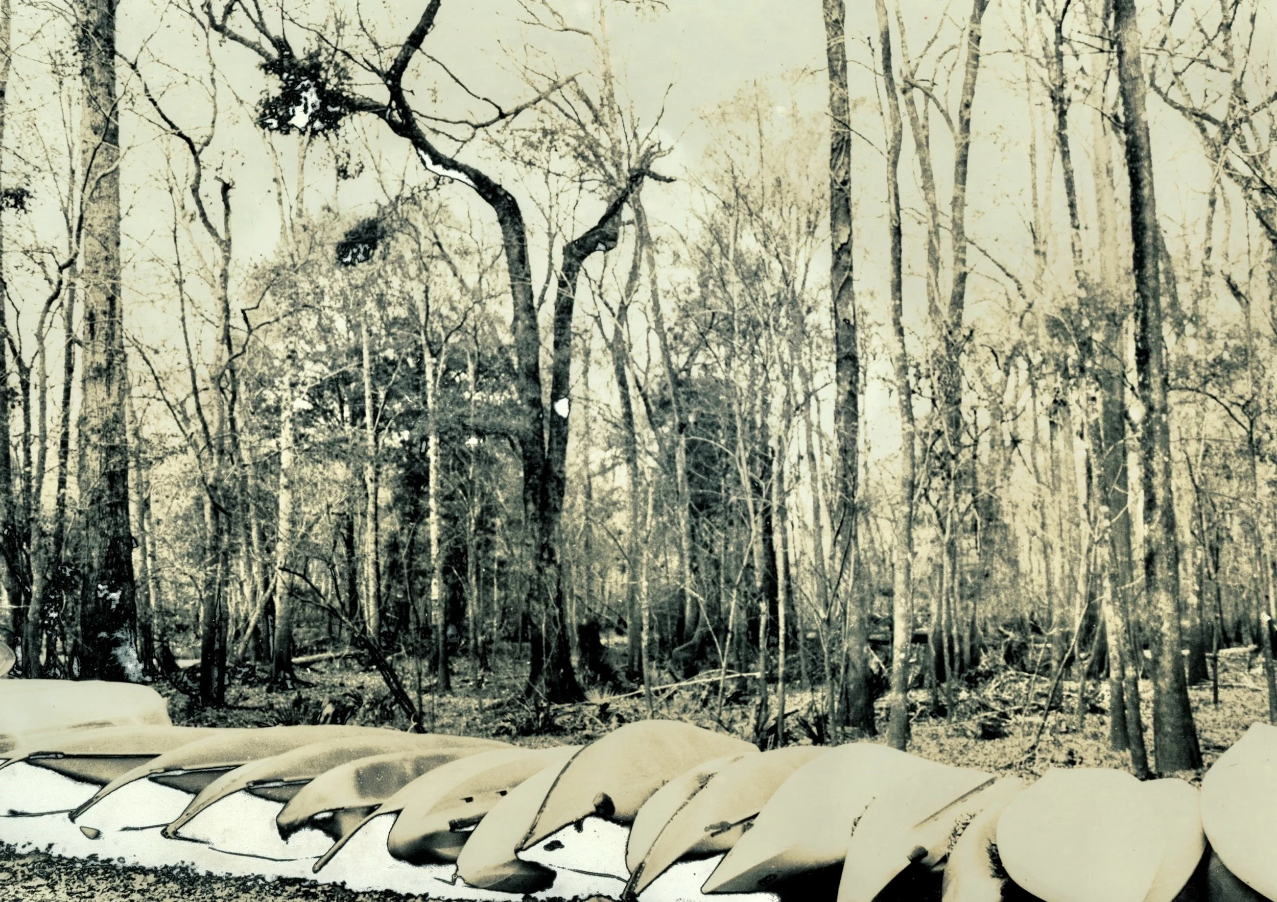  Mordançaged Gelatin Silver Print, 2025.&nbsp;O’Brien FL.&nbsp; 