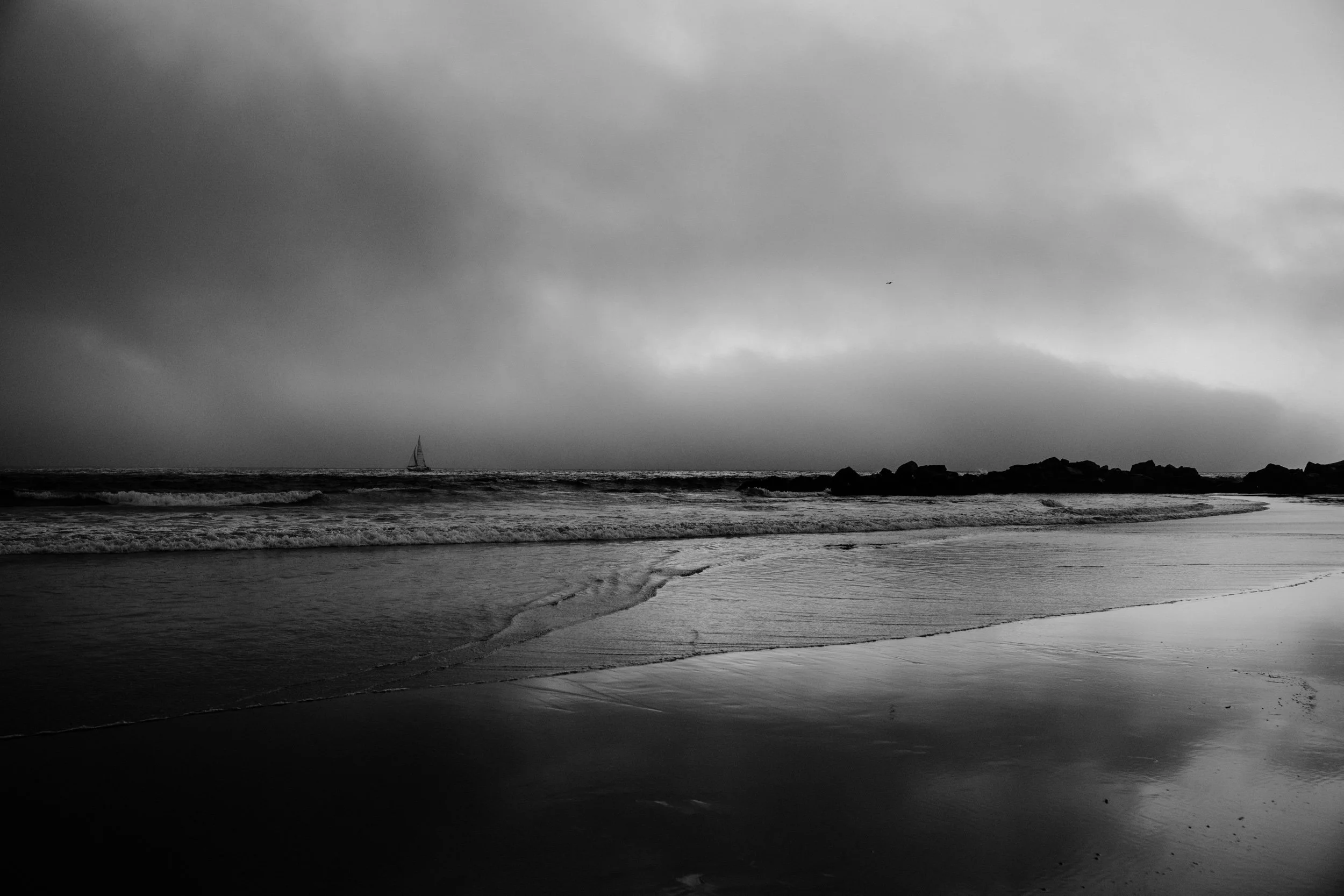   Venice Beach, California, 2025.  