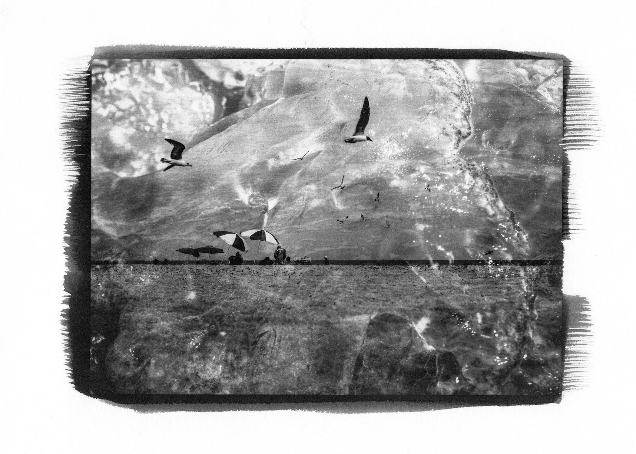  Platinum Palladium Print, 2021. Tybee Island 