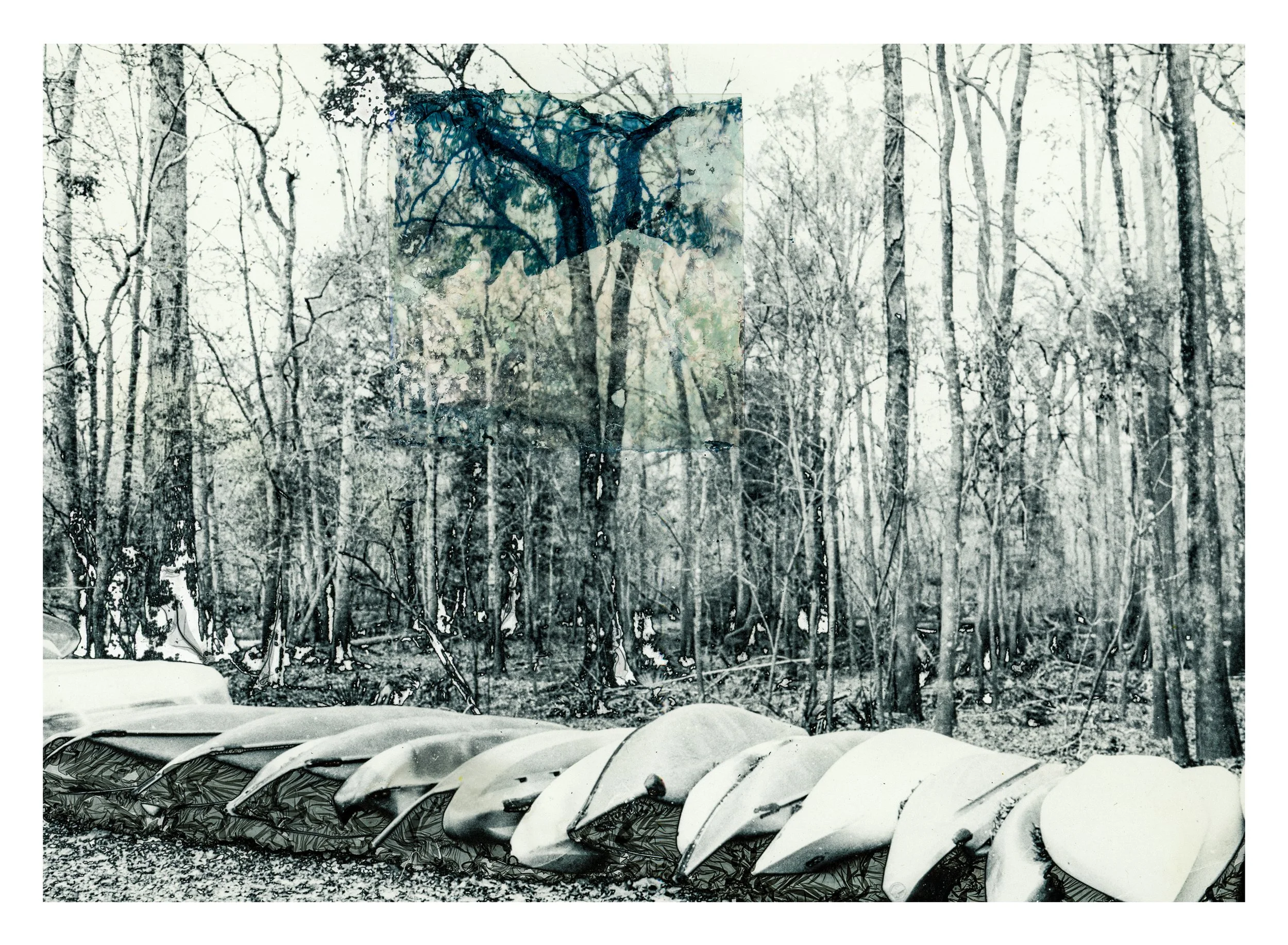   Before the Forgetting  