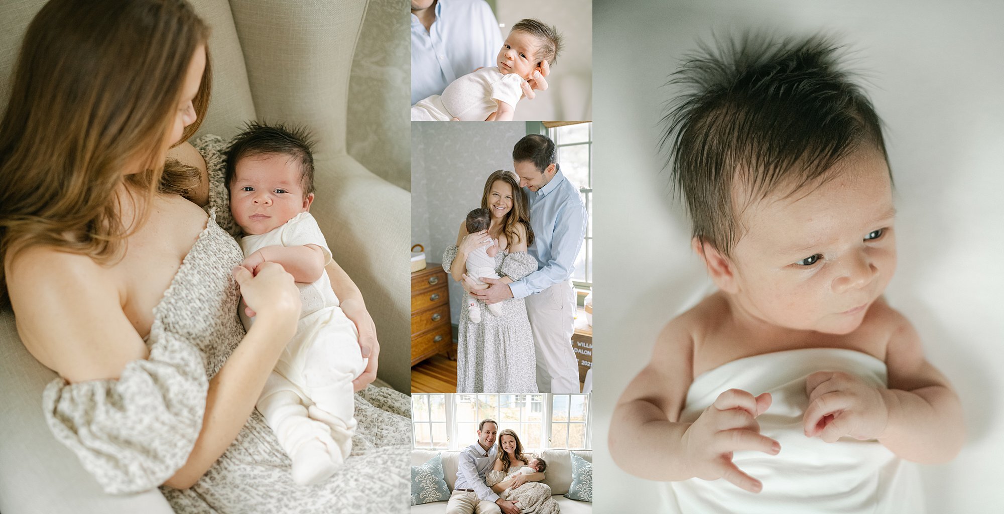 400 Newborn Photo Shoot Ideas | newborn photos, newborn, newborn pictures