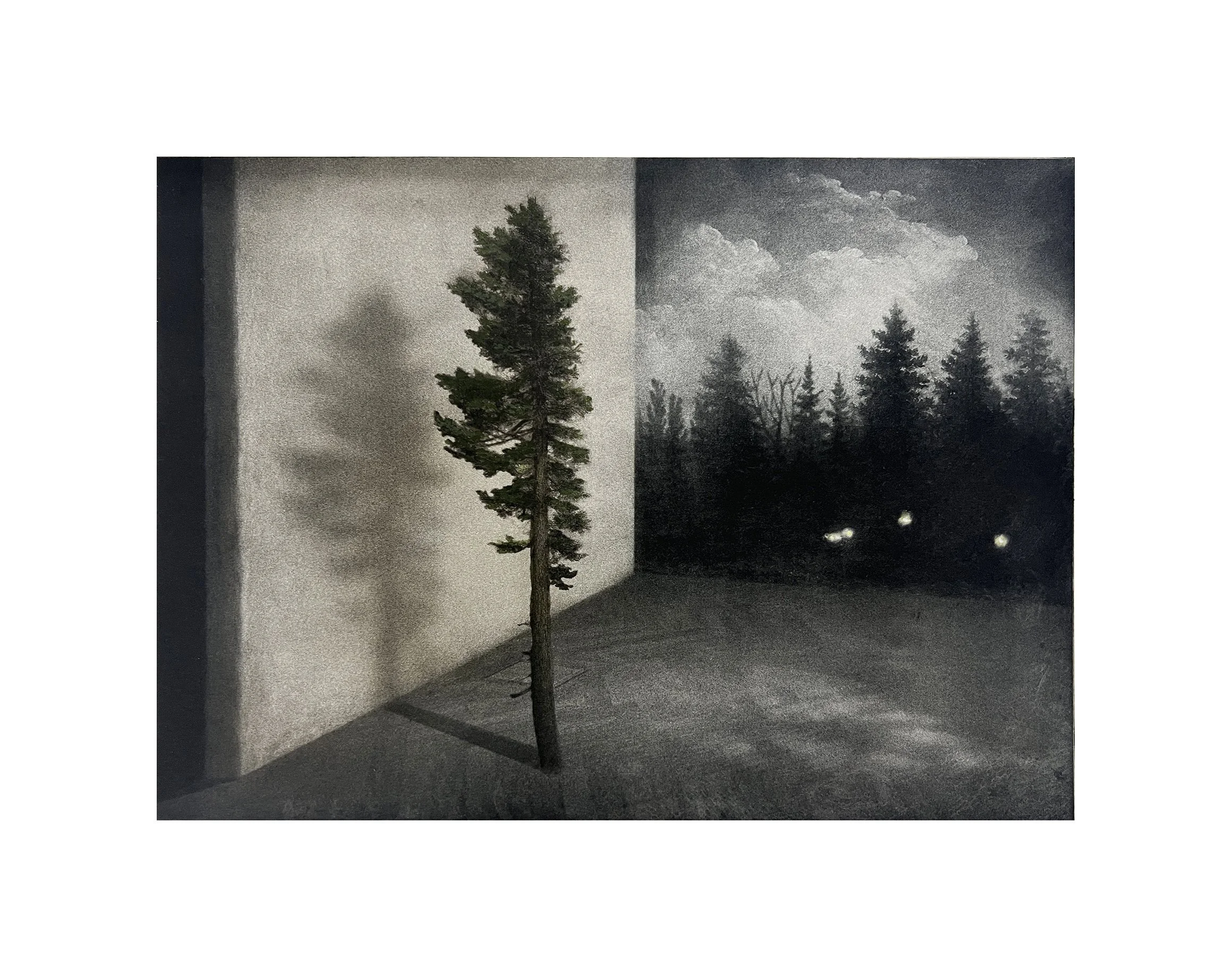 Suzanne Moxhay, Outlier, 2026