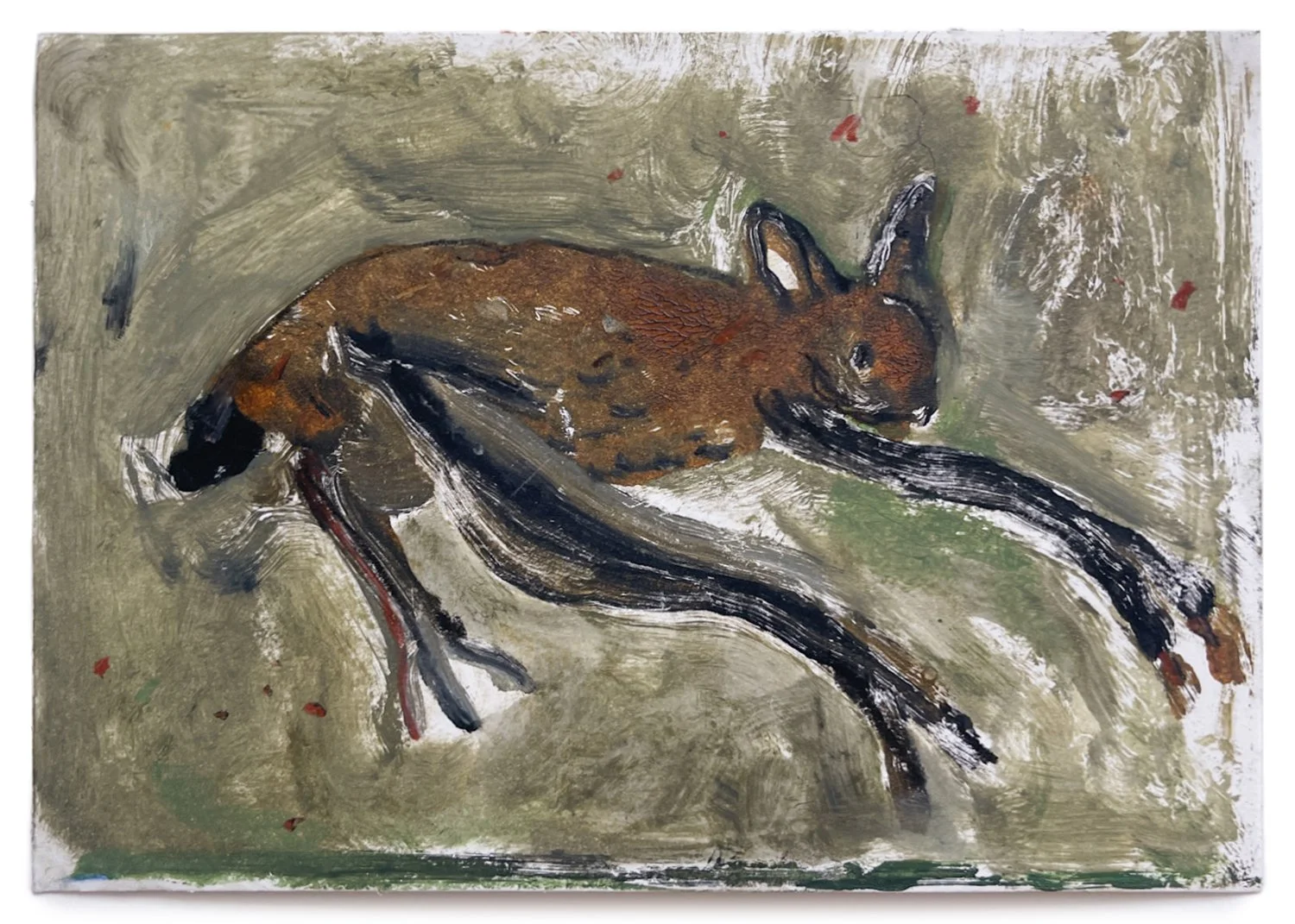 Melissa-Kime-Resting-Pipistrelle-Bat-Oliver-Projects-Gallery-web.jpg