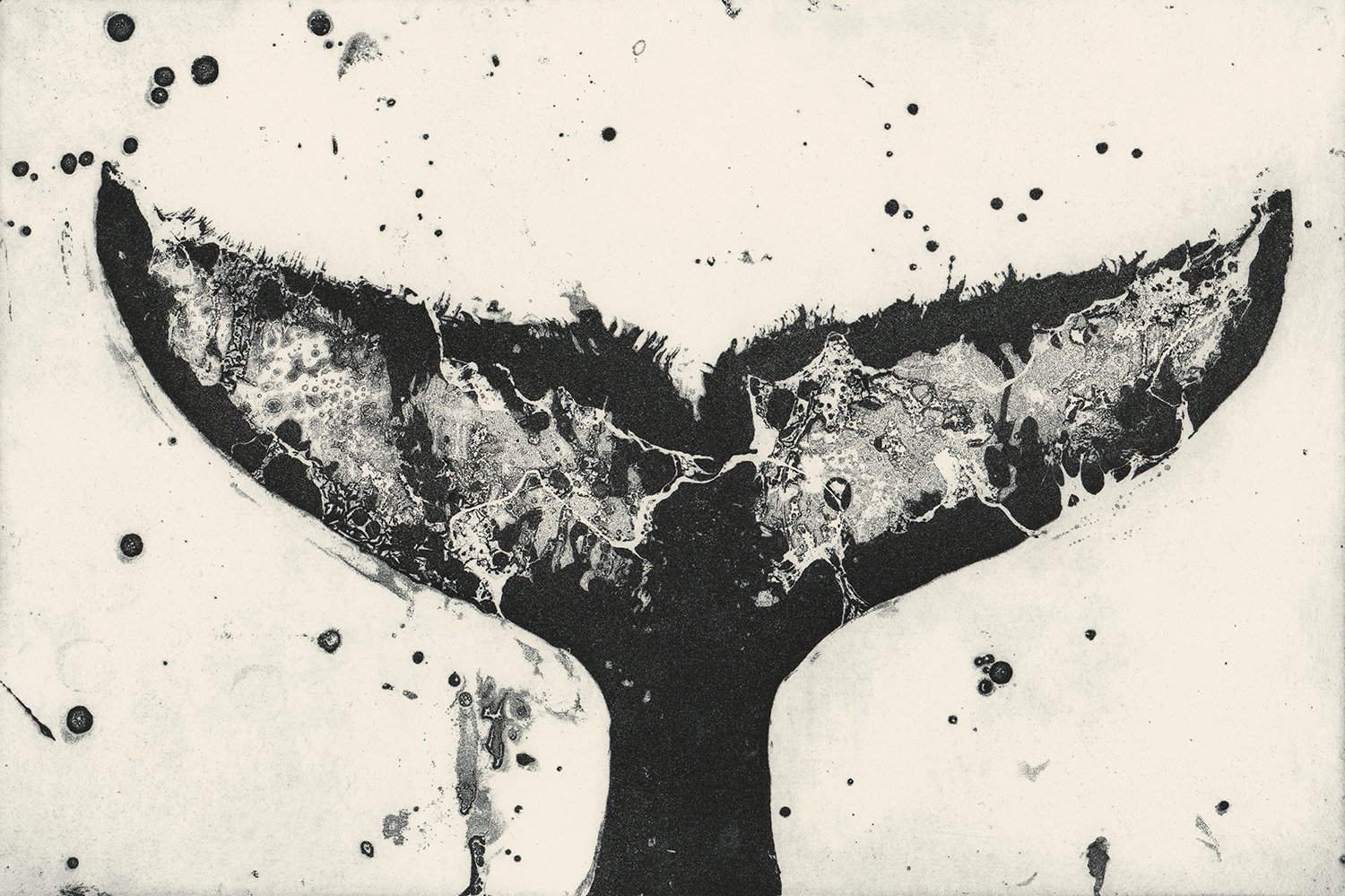 Marion MacPhee, Whale Tail III, 2022