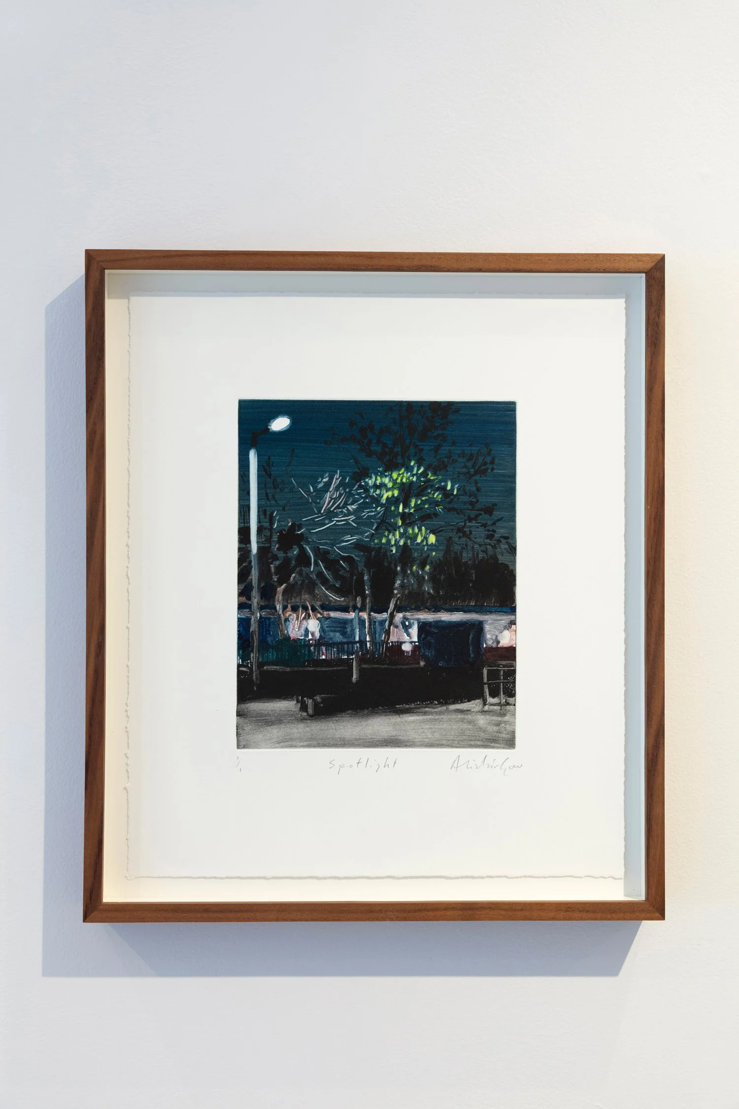 Alistair-Gow-install-Spotlight-Oliver-Projects-Gallery.jpg