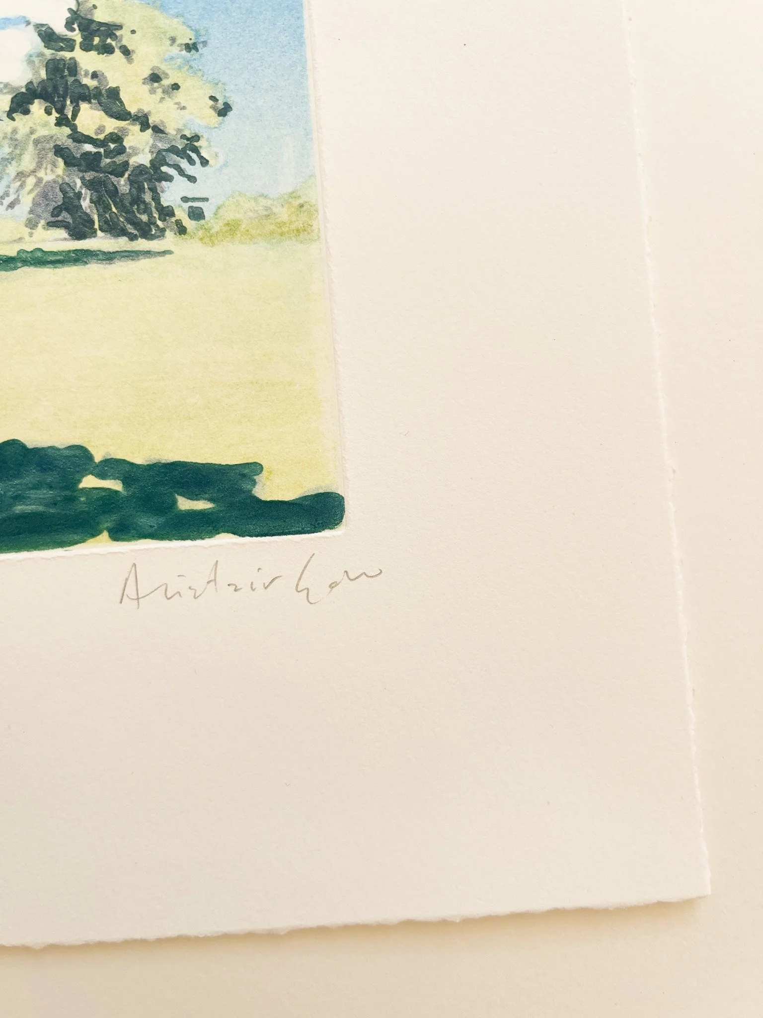 Alistair-Gow-Kingdom-detail-Oliver-Projects-Gallery.jpg