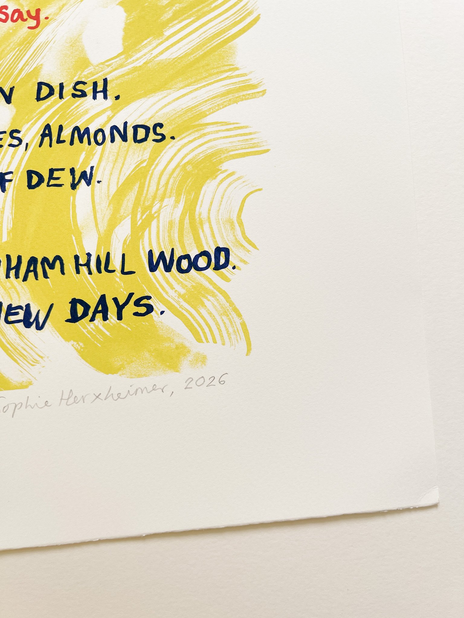 Sophie-Herxheimer-Sydenham-Wood-print-corner-3-Oliver-Projects-Gallery.jpg