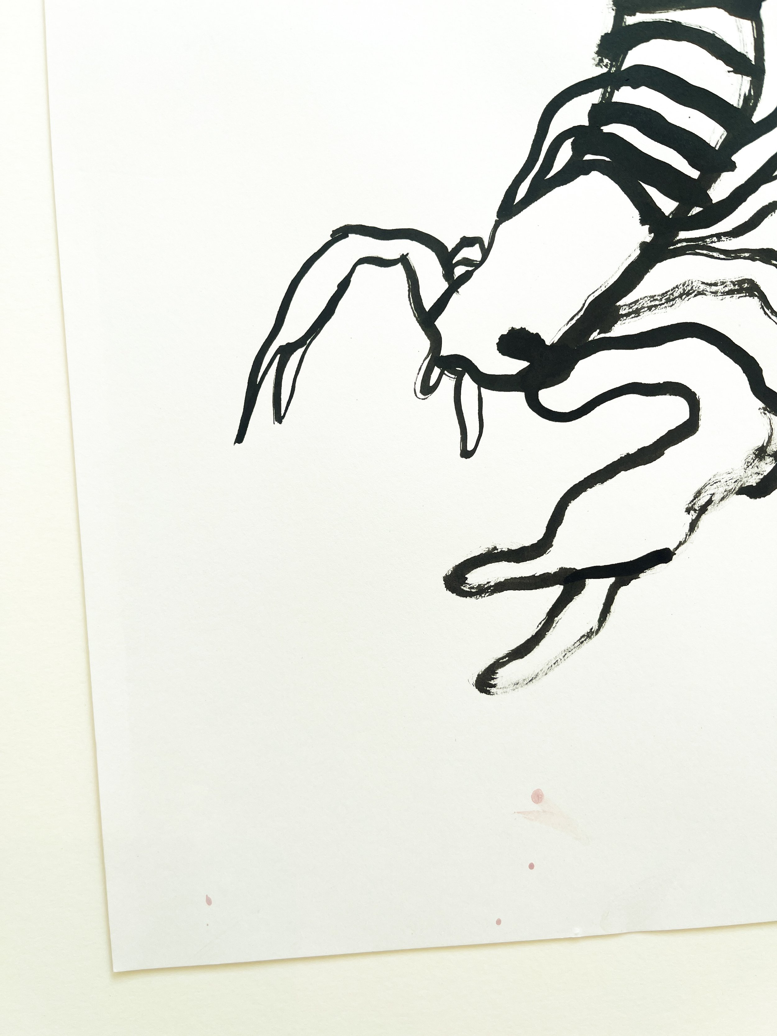 Jessica-Jane-Charleston-Scorpion-Oliver-Projects-Gallery.JPG